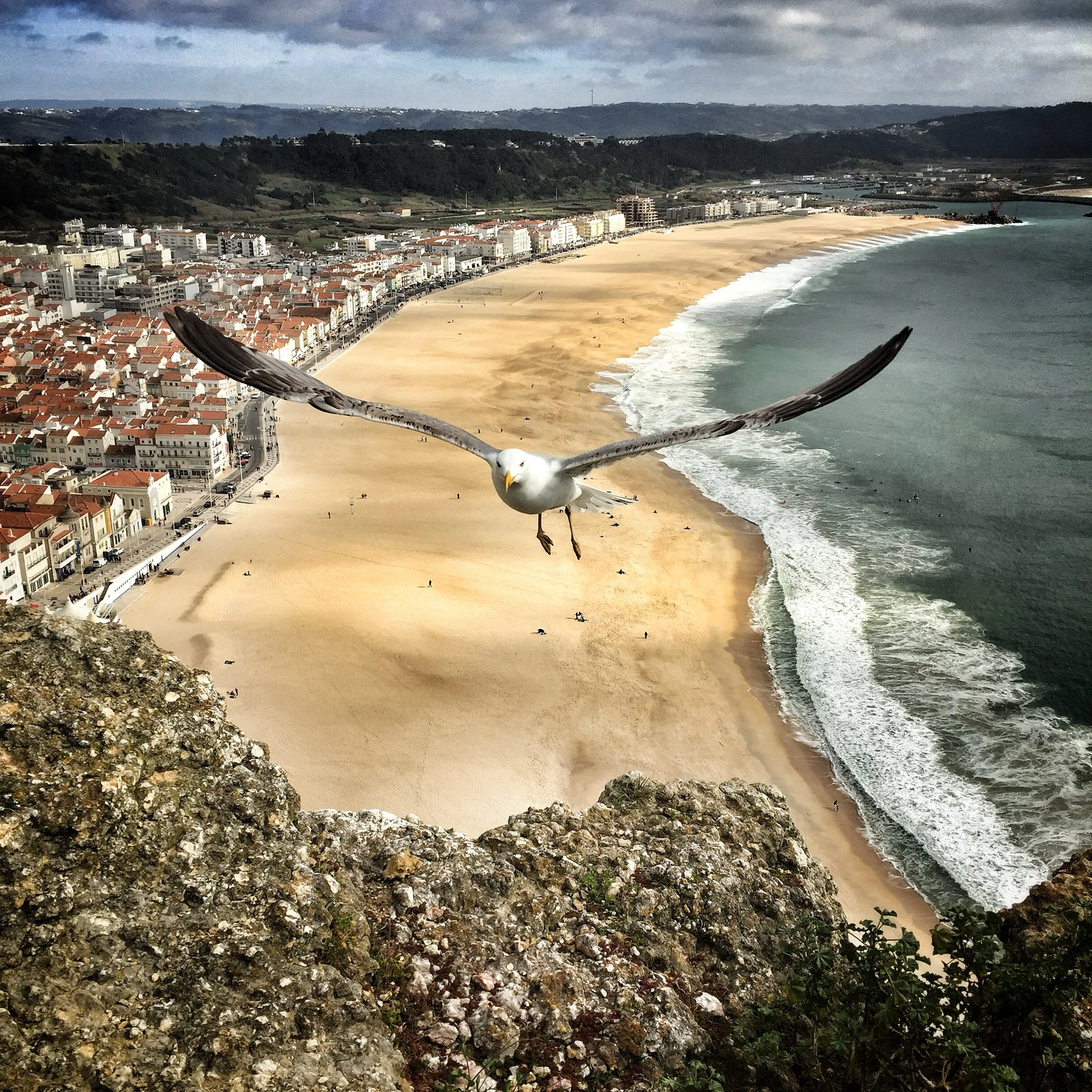 Une plage de sable doré avec des vagues s'écrasant contre le rivage, des bâtiments résidentiels et commerciaux en arrière-plan, et un ciel nuageux. Un oiseau blanc avec des ailes noires vole en avant-plan.