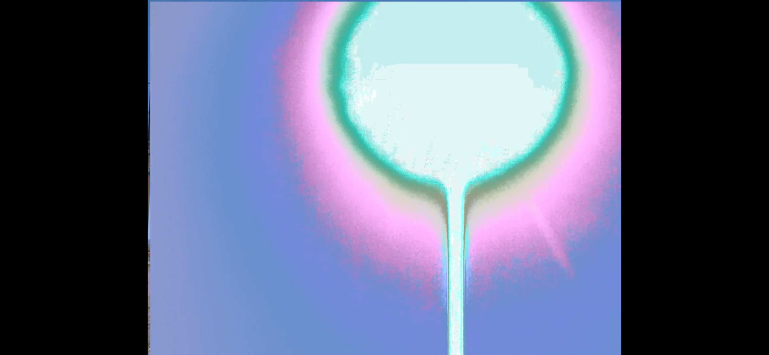 IMG_2320.PNG