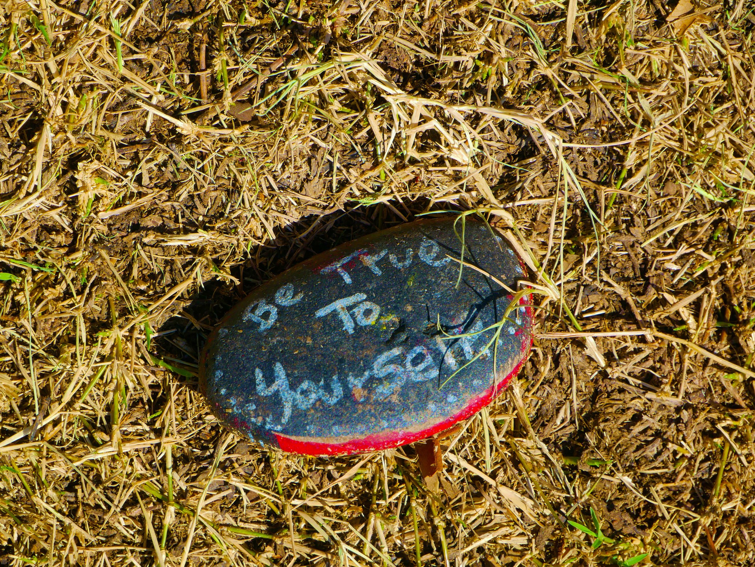 P1110266.jpg