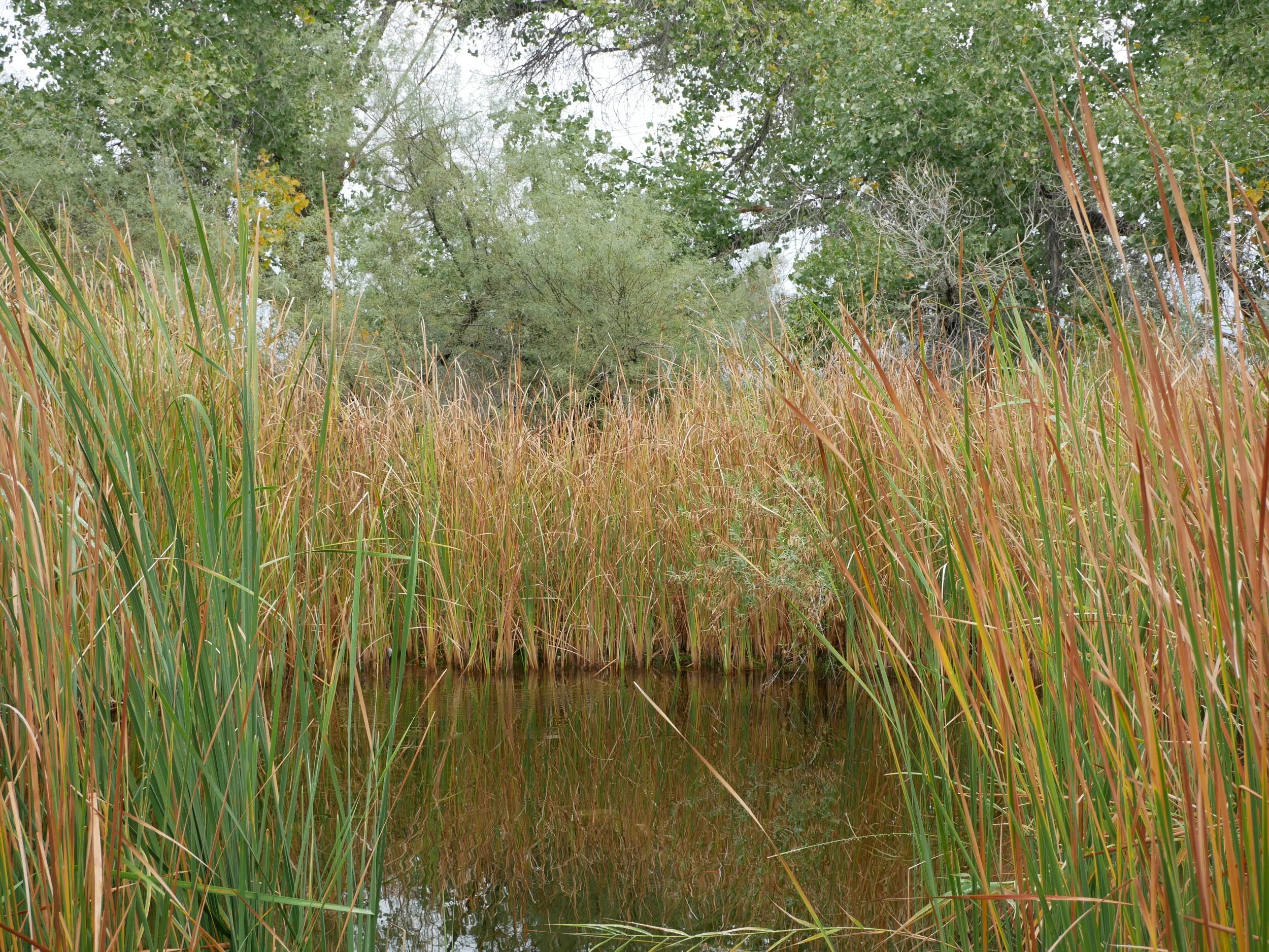 P1160044.JPG