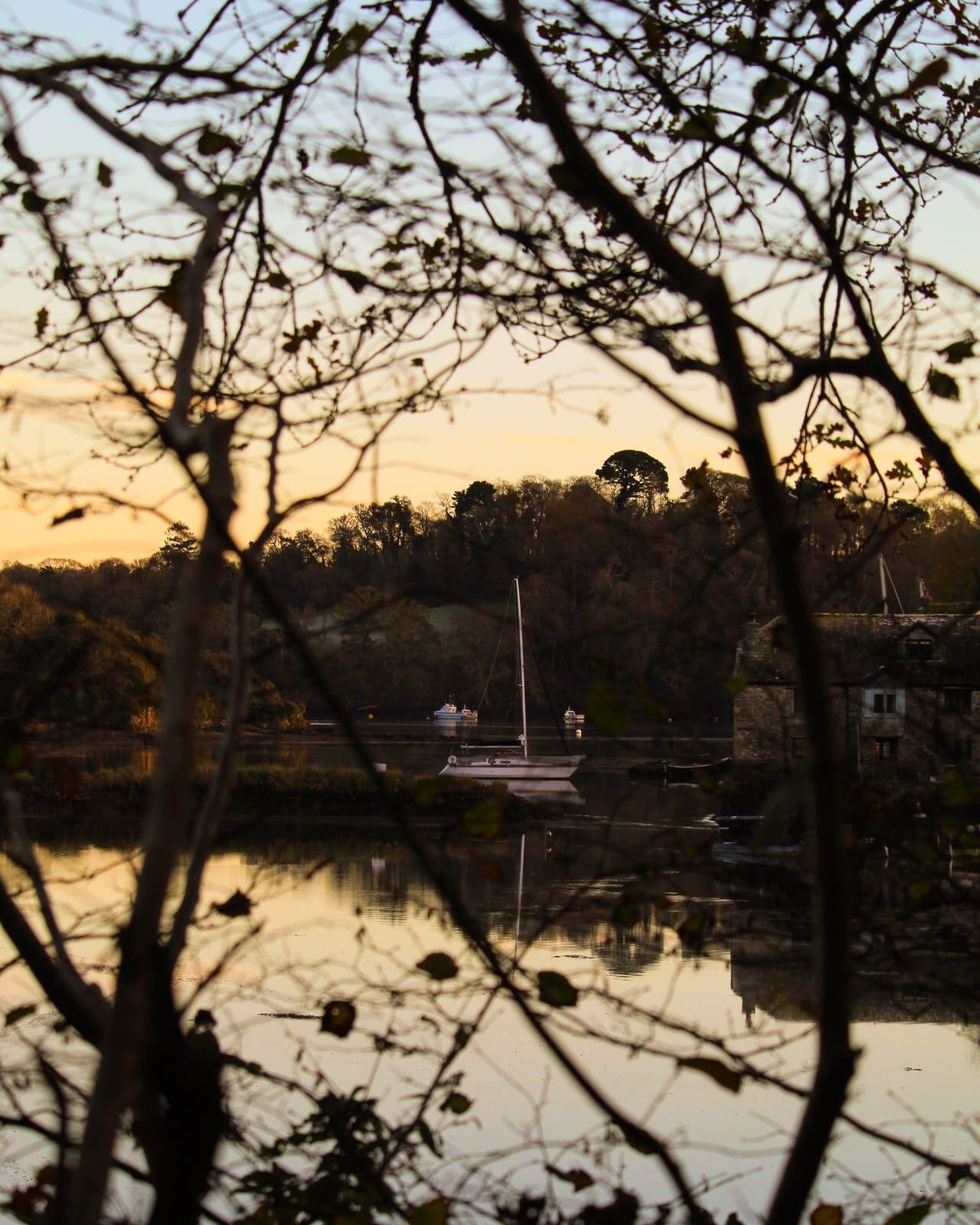 We&rsquo;ve made it!
It&rsquo;s December at last&hellip;

And Christmas is fast approaching. ✨

But there&rsquo;s a difference between December in the town Vs December in the countryside&hellip;

Town = busy, sparkling, shoppers on a mission.
Country