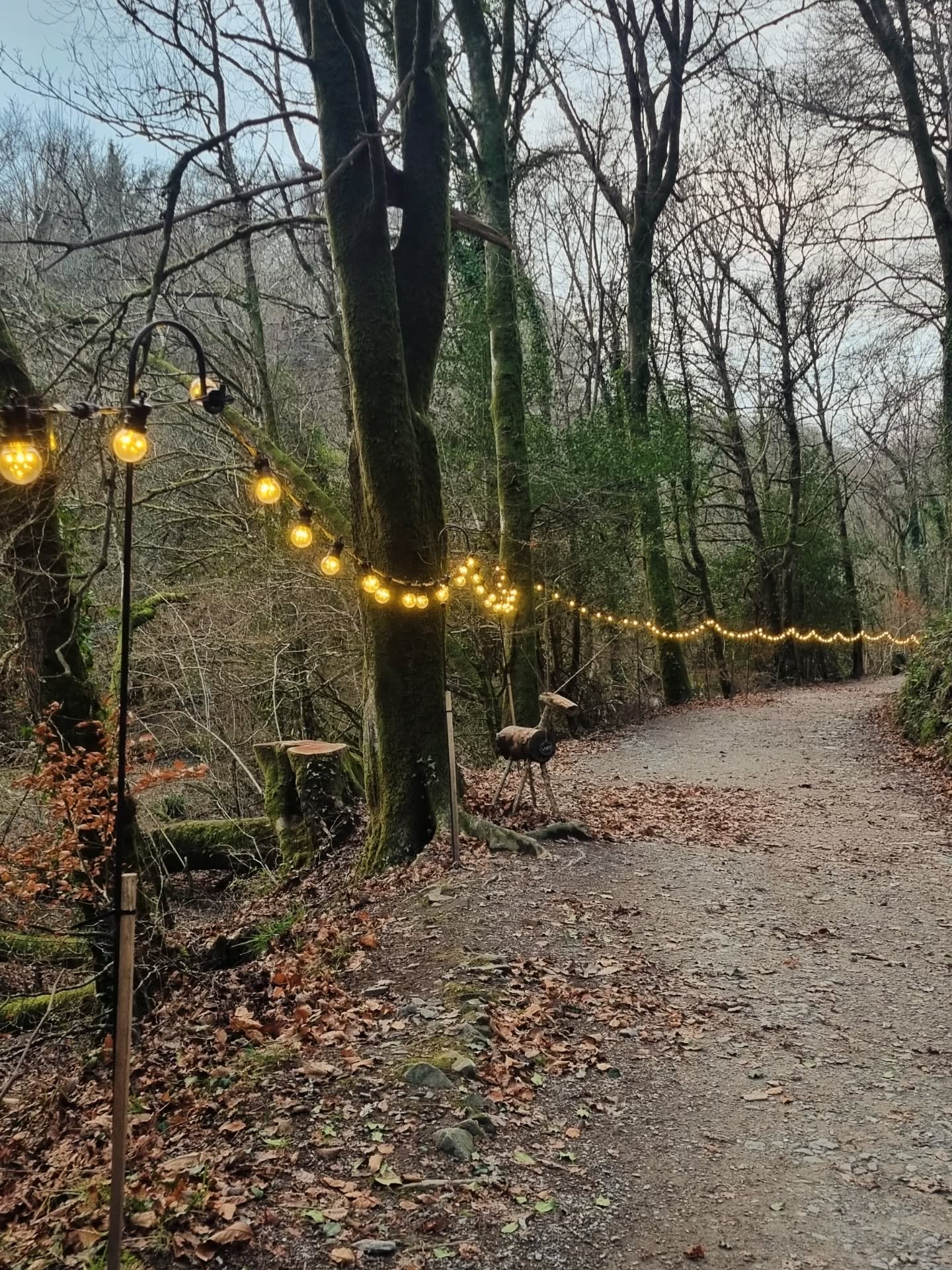 It's been wholesome Christmas 🎄

Wishing everyone a fantastic New Year and all the very best for 2026 ✨️