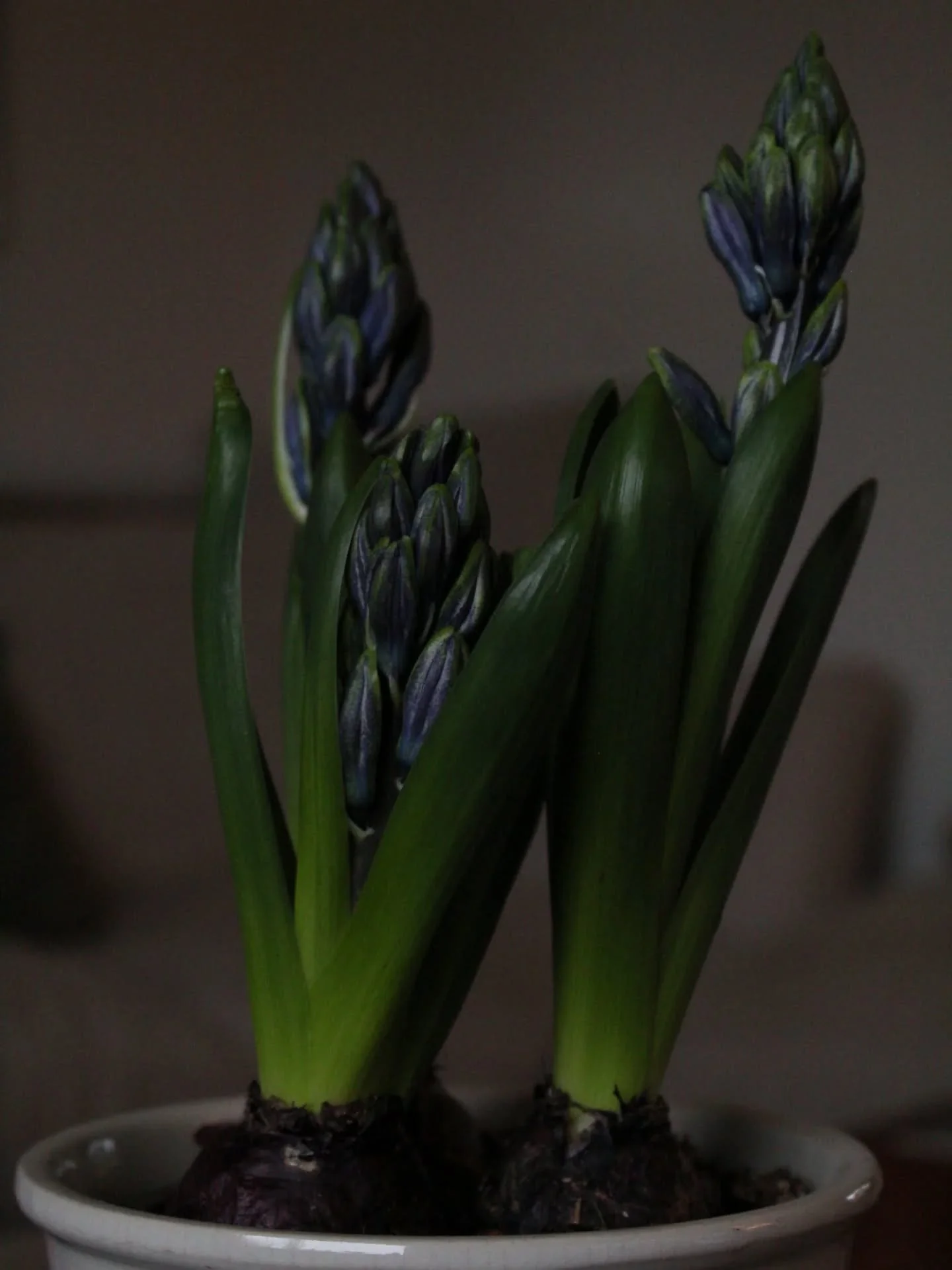 Spring is on it's way 🌱

#countryside #spring #awakening