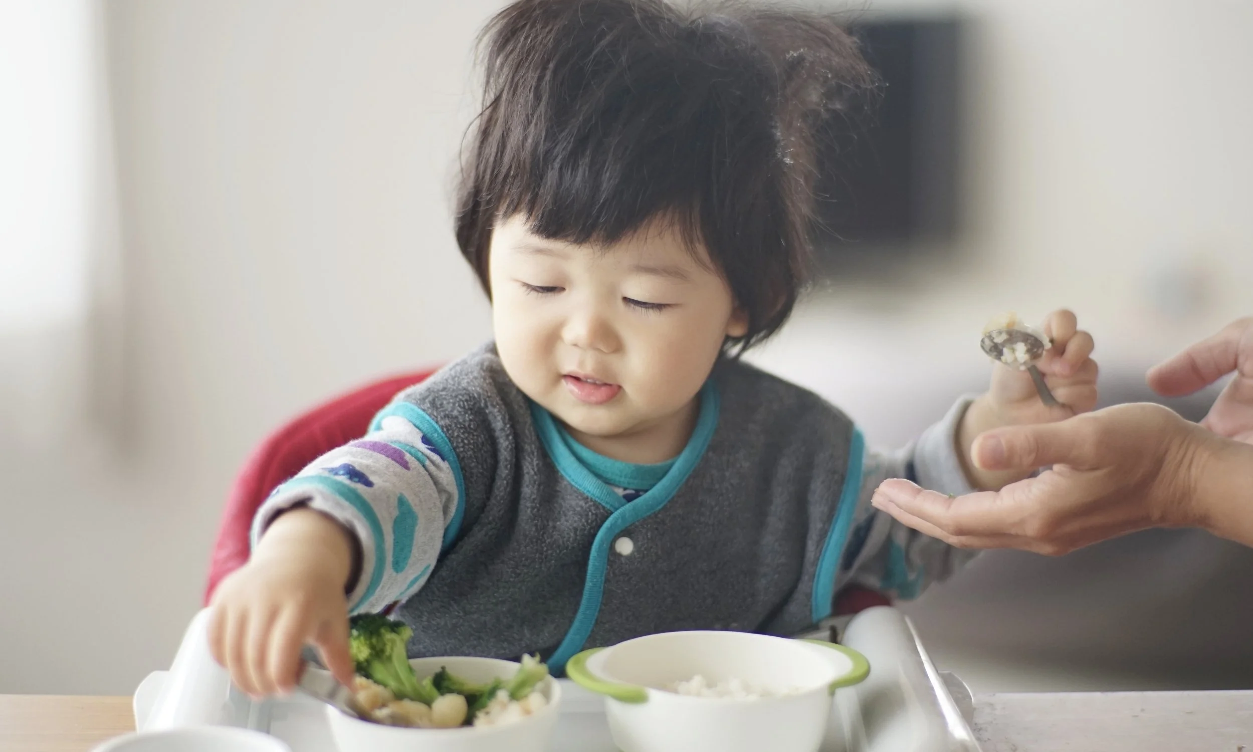 Feeding Milestones: What to Expect After Age 2 and When to Seek an Evaluation