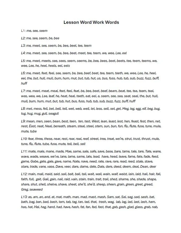 Lesson Word Work Words