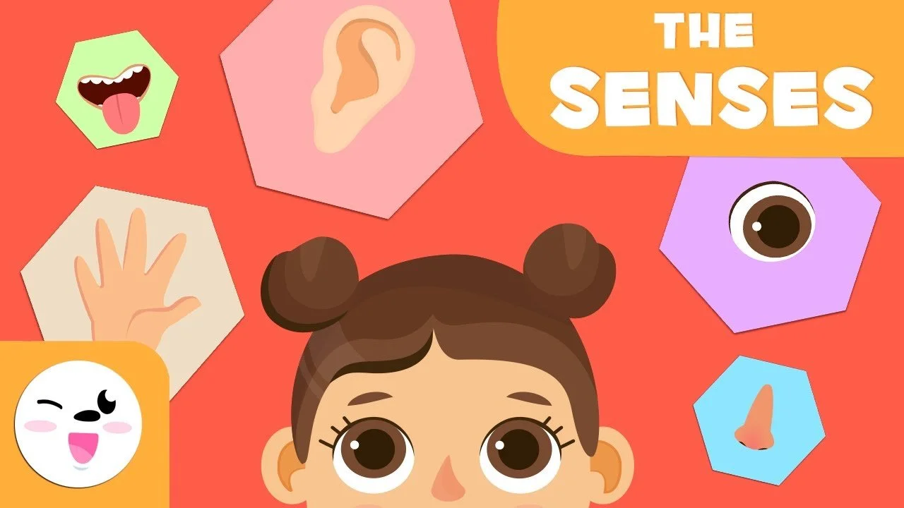 Exploring the 5 Senses