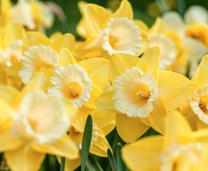 Screenshot 2026-04-02 at 15.52.31.png