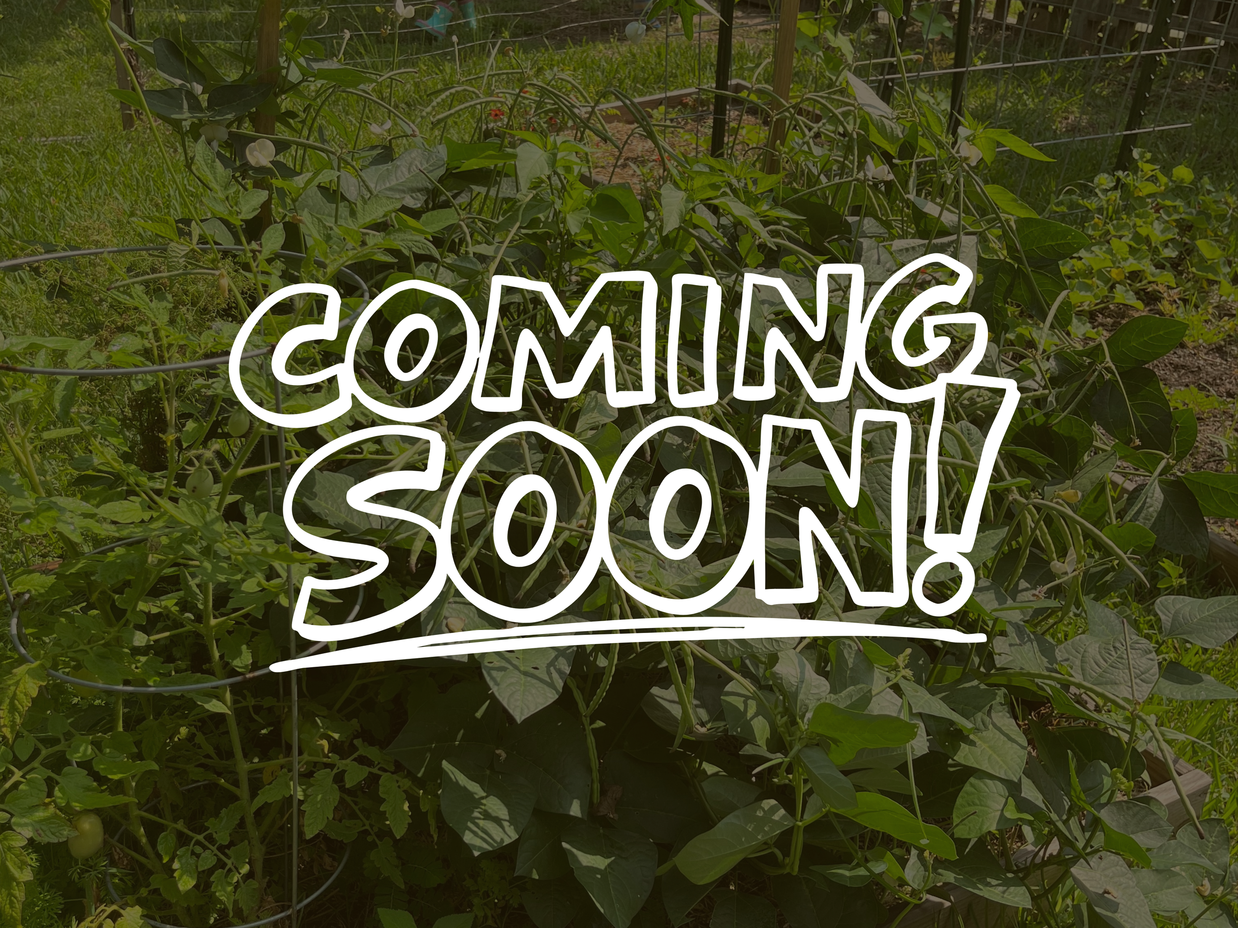 Our Stories Are Growing🌱
