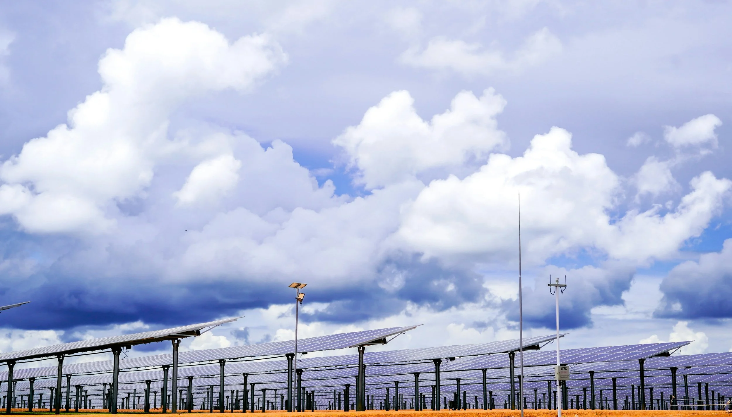 How Green Subsidy Is Turning Word of Mouth Into a Scalable Growth Engine