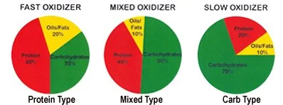 Through Metabolic Typing, we can better understand whether the body naturally burns energy more slowly or more quickly, and how meals should be structured accordingly.