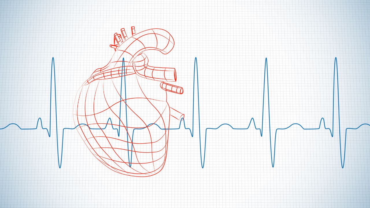Illustration of a human heart in red wireframe with an electrocardiogram line in blue on graph paper background.