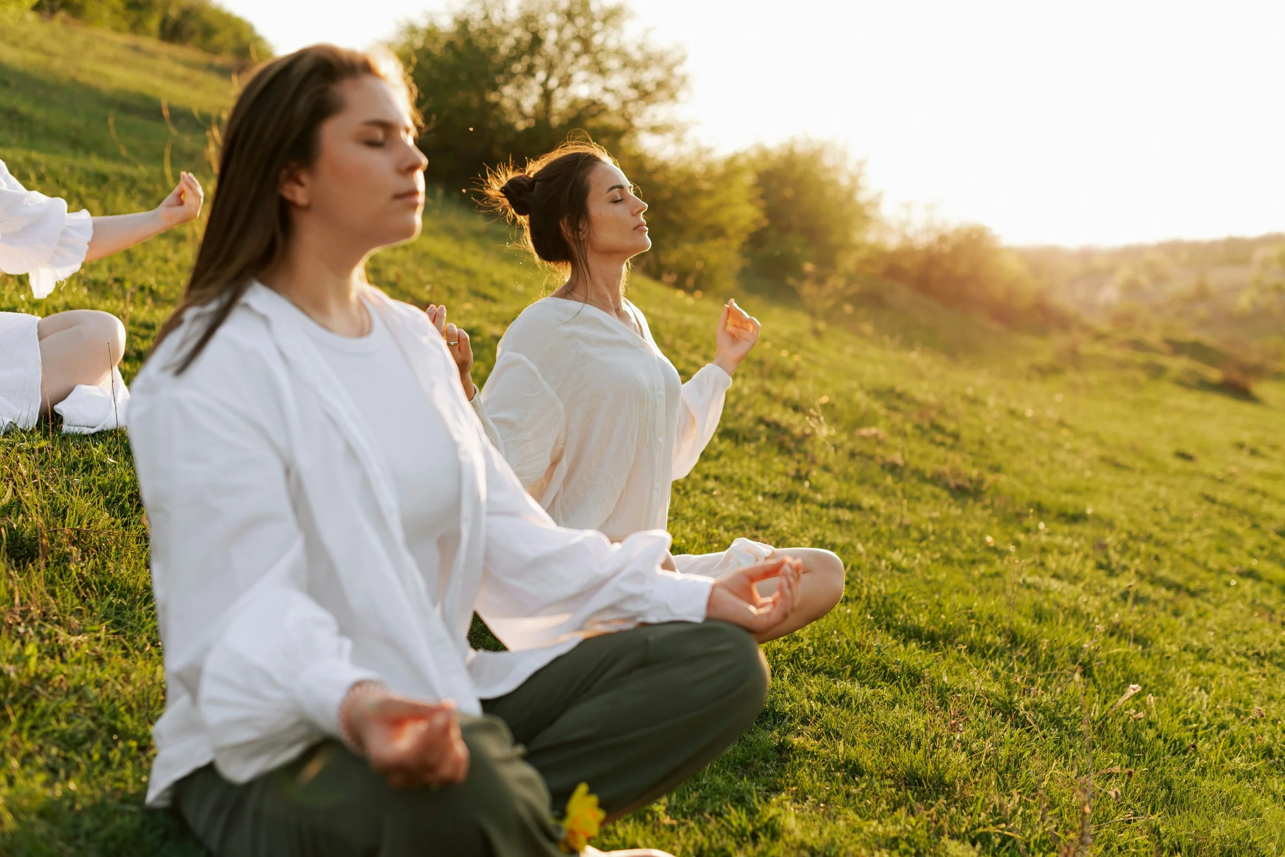 Host a Workshop at Panacea Vita Sarasota