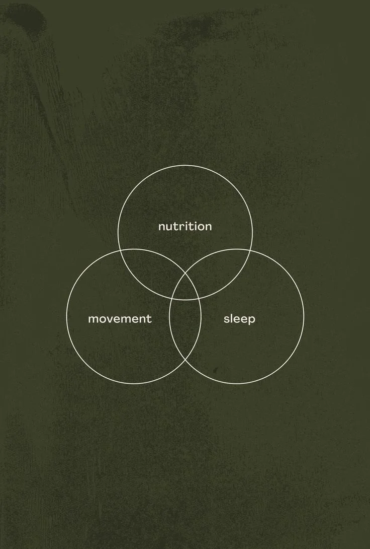 Venn diagram showing the interconnection of nutrition, movement, and sleep.