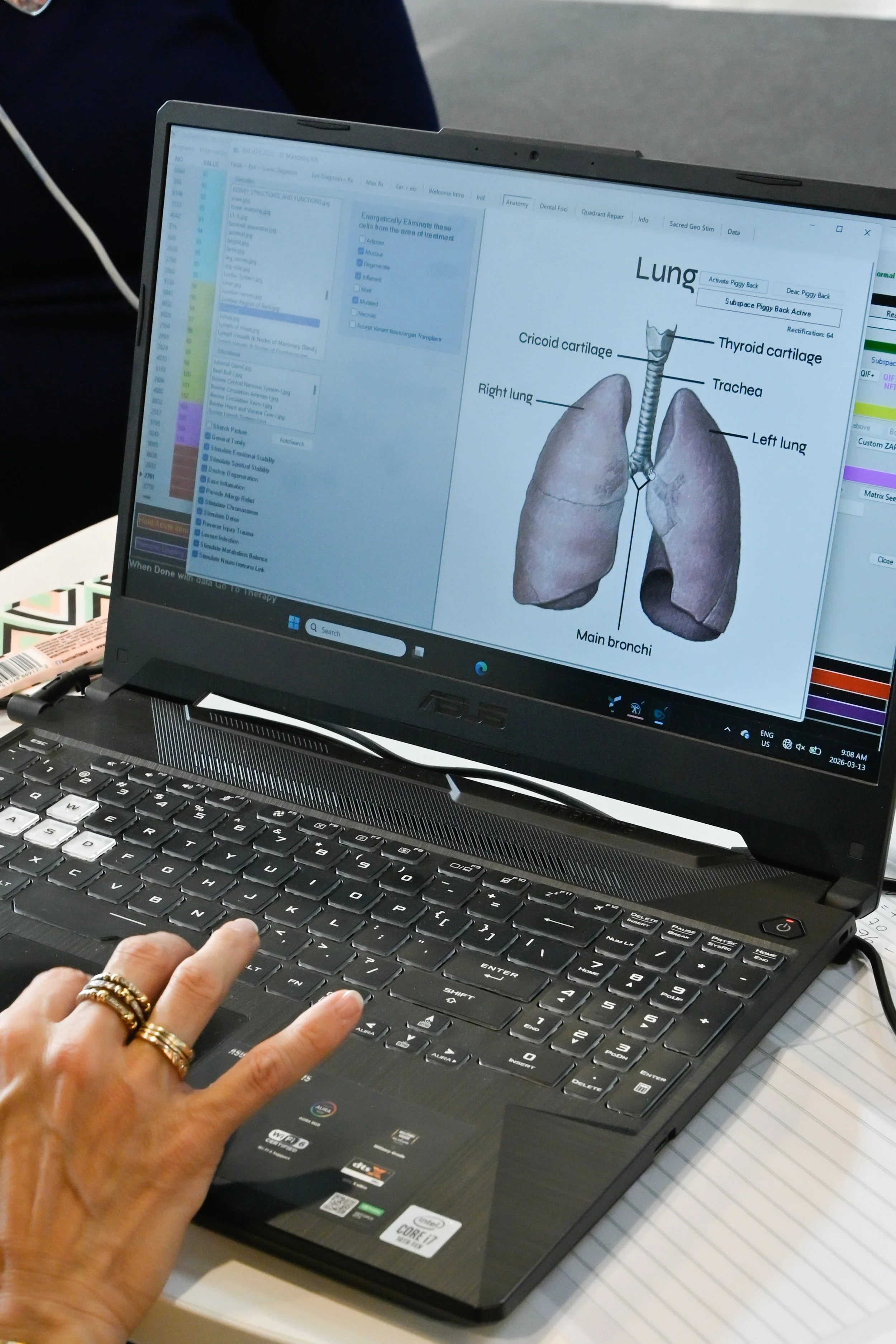 Biofeedback supports the release of stress, the realignment of subtle energy, and the reactivation of the body’s innate healing intelligence.