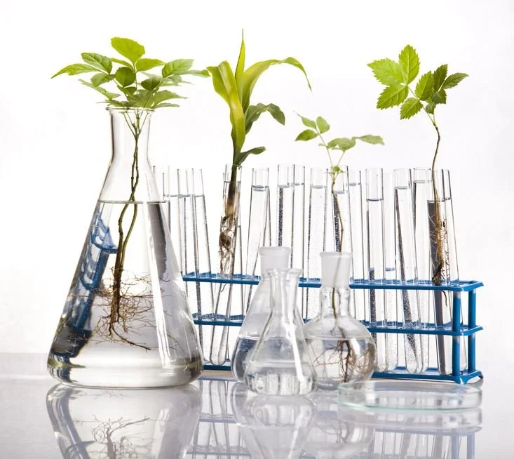 Functional Diagnostic Nutrition by Panacea Vita