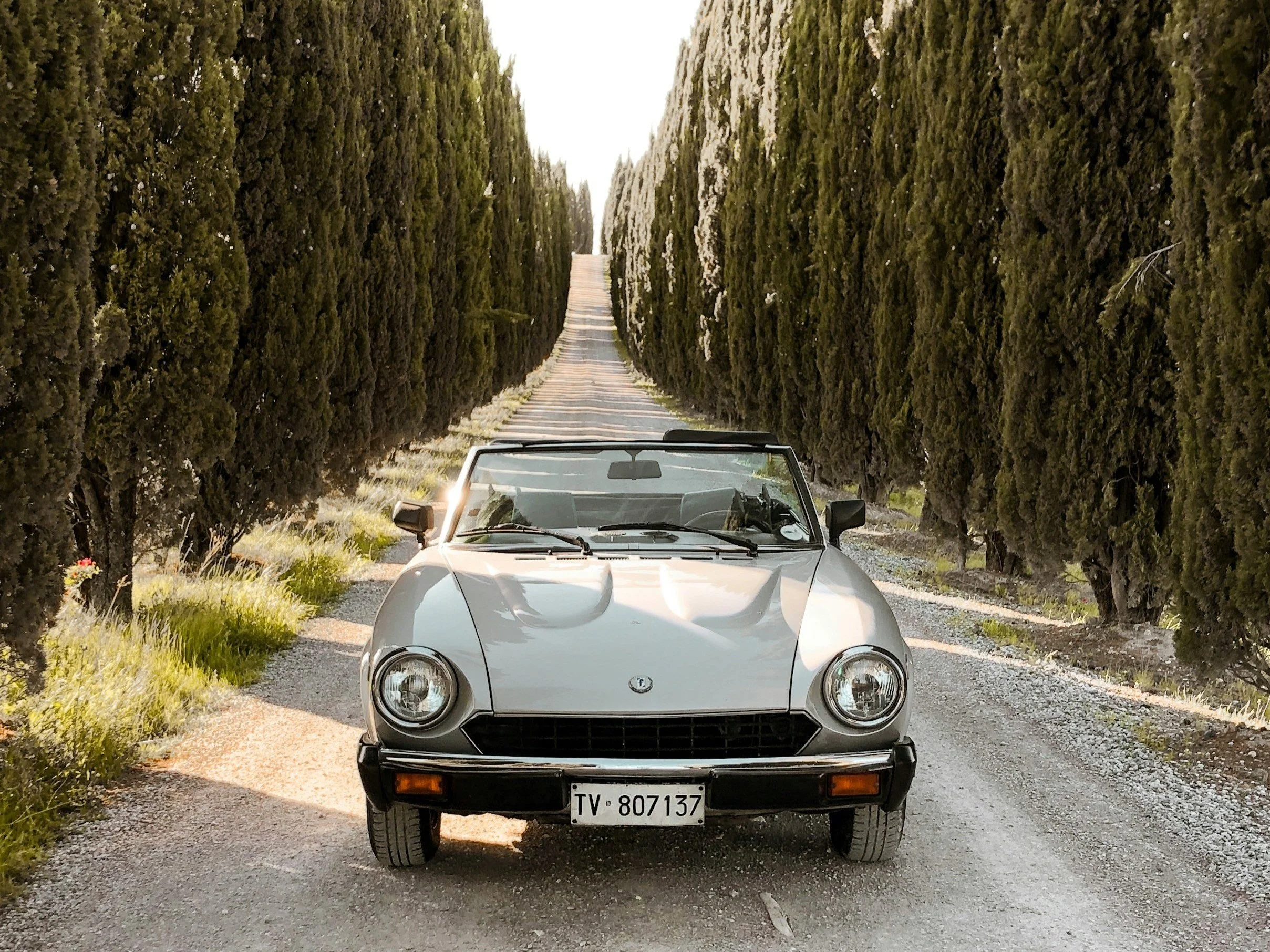An Italian Odyssey