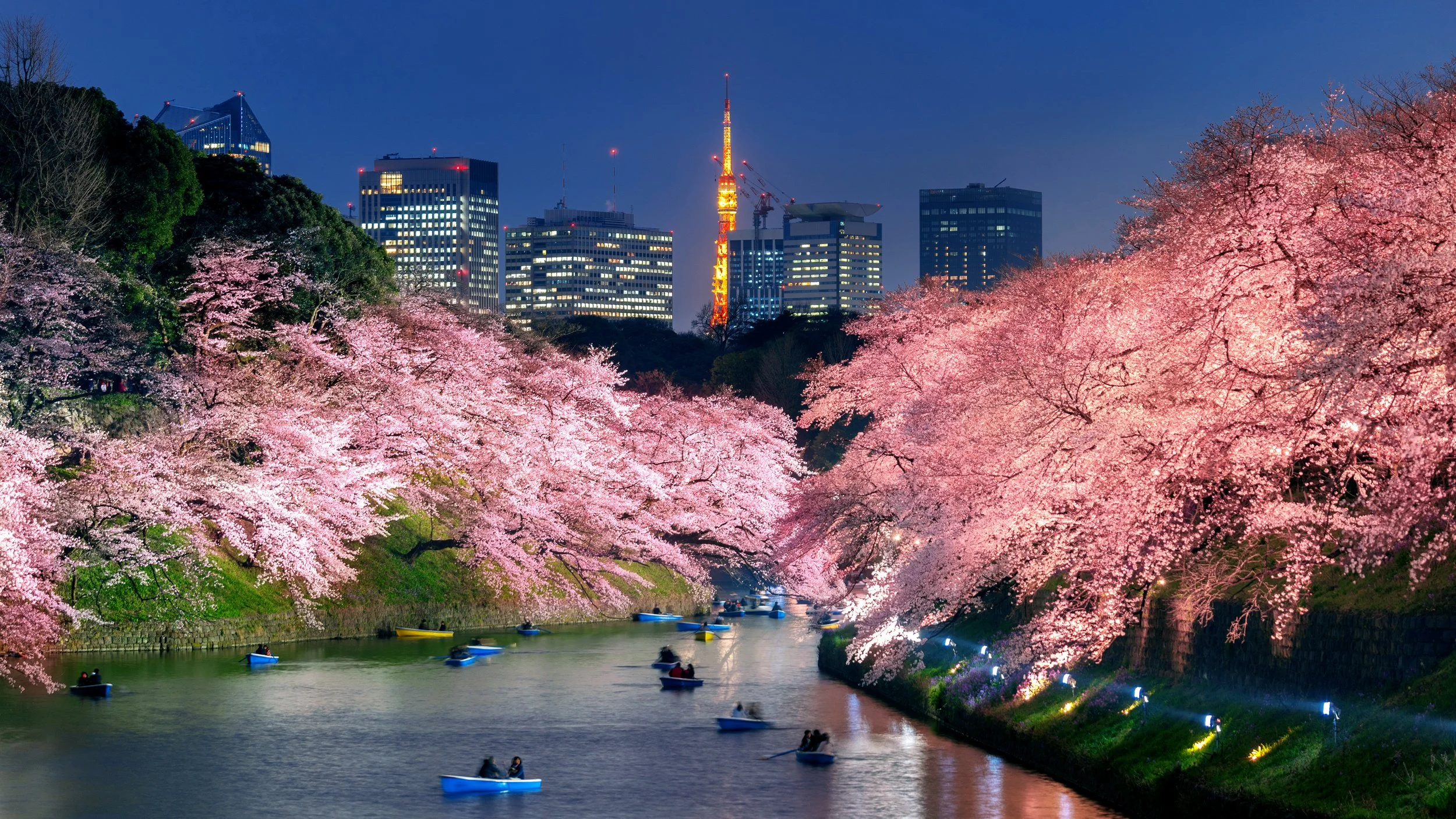 Discover Timeless Tokyo