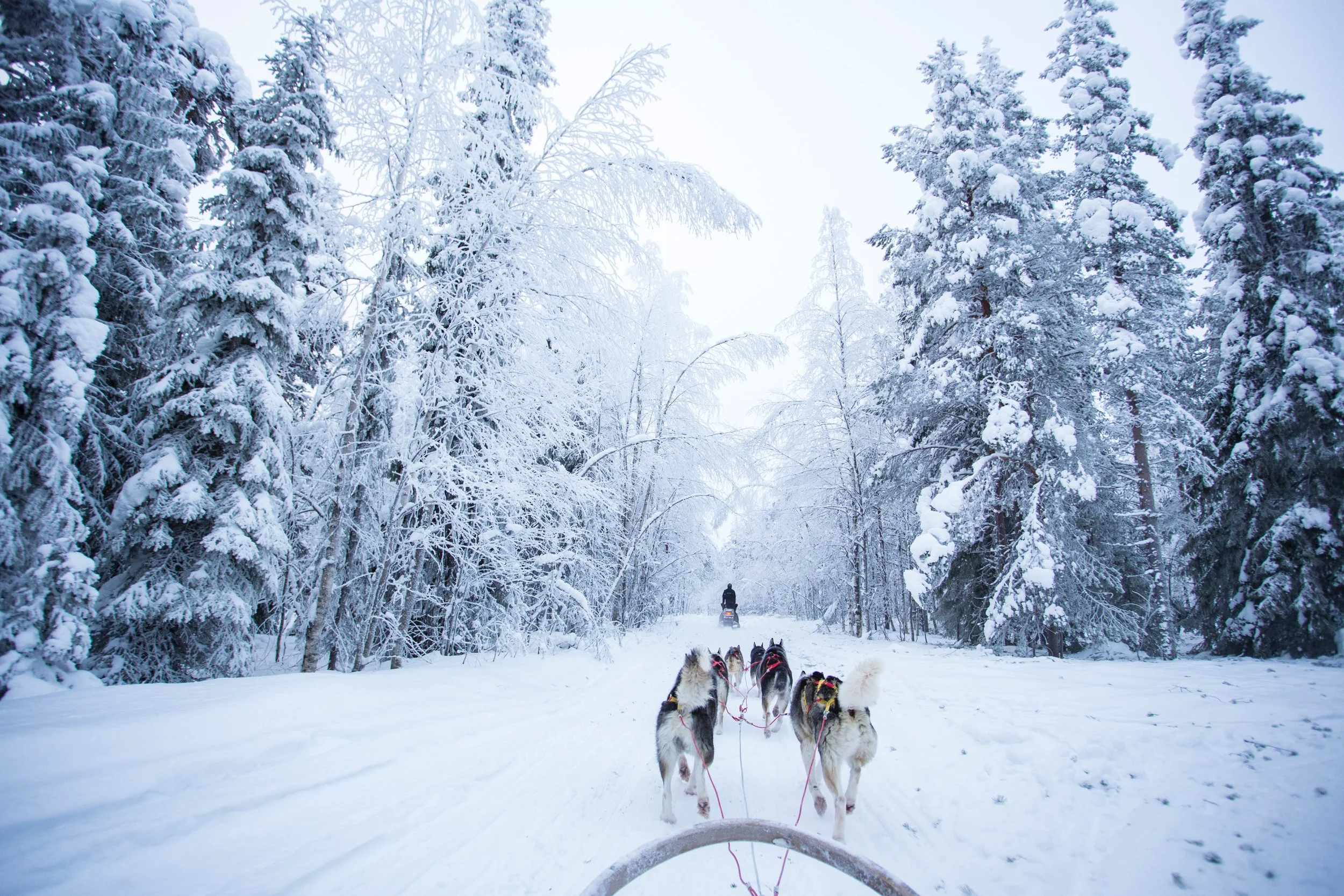 The happiest country in the world