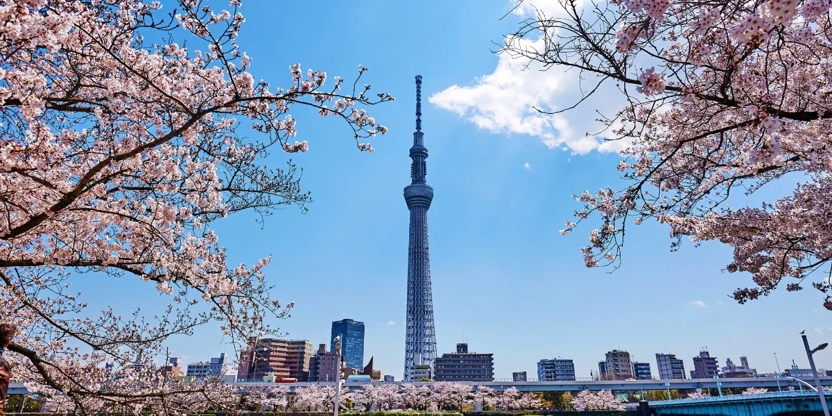 Tokyo’s Finest Luxury Products