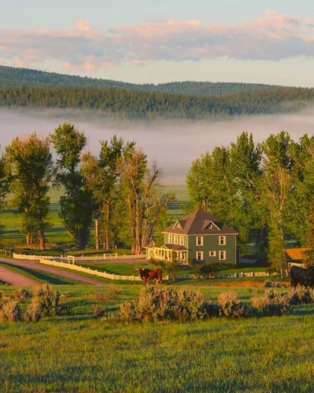 The Connections Community continues to grow, and this month we&rsquo;re proud to showcase an incredible mix of new suppliers that reflect the breadth of luxury travel.👏

Let us introduce you to Paws Up Montana, SJourney Luxury Train, The Sukhothai B