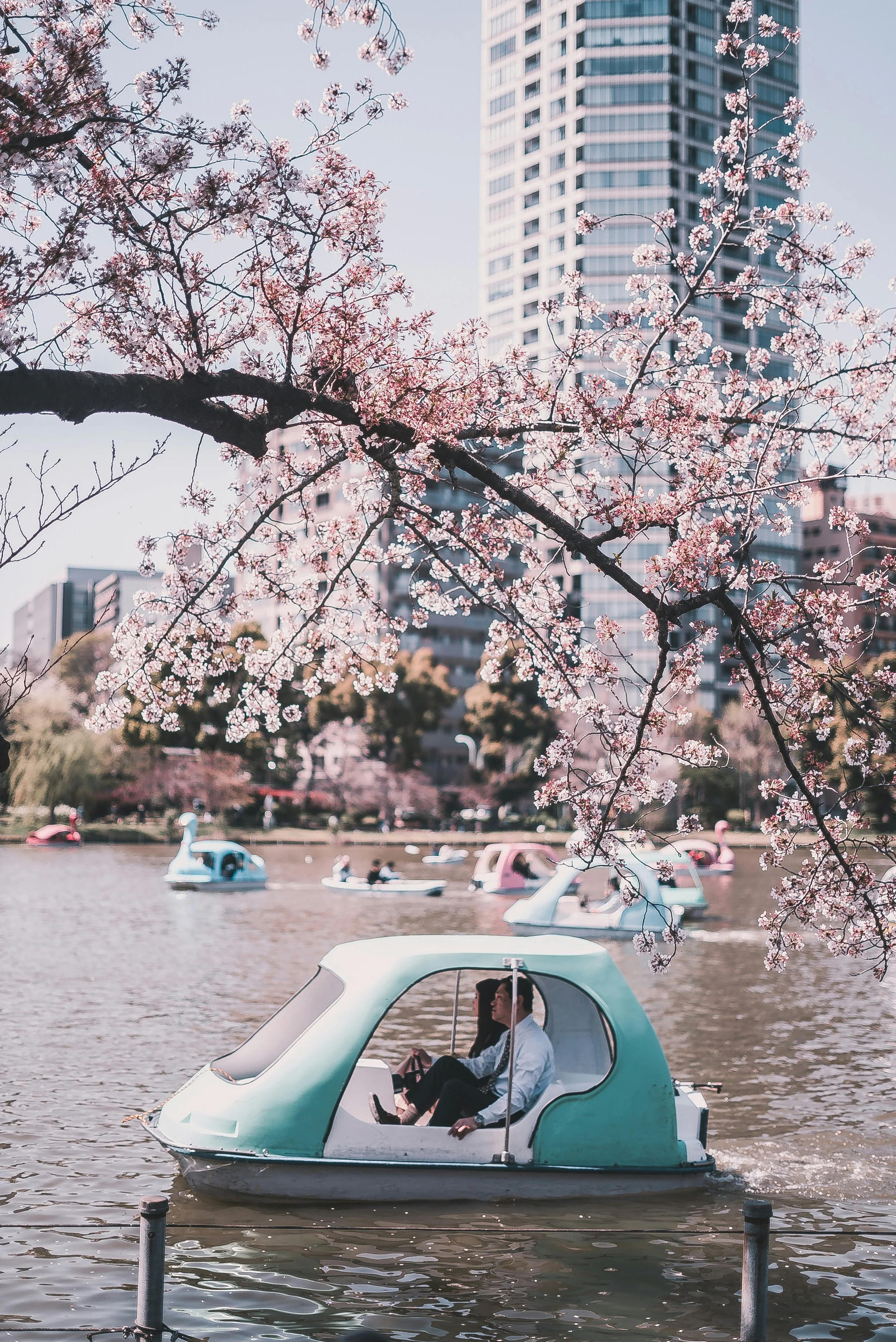 redd-francisco-iHU3ic36yeY-unsplash.jpg