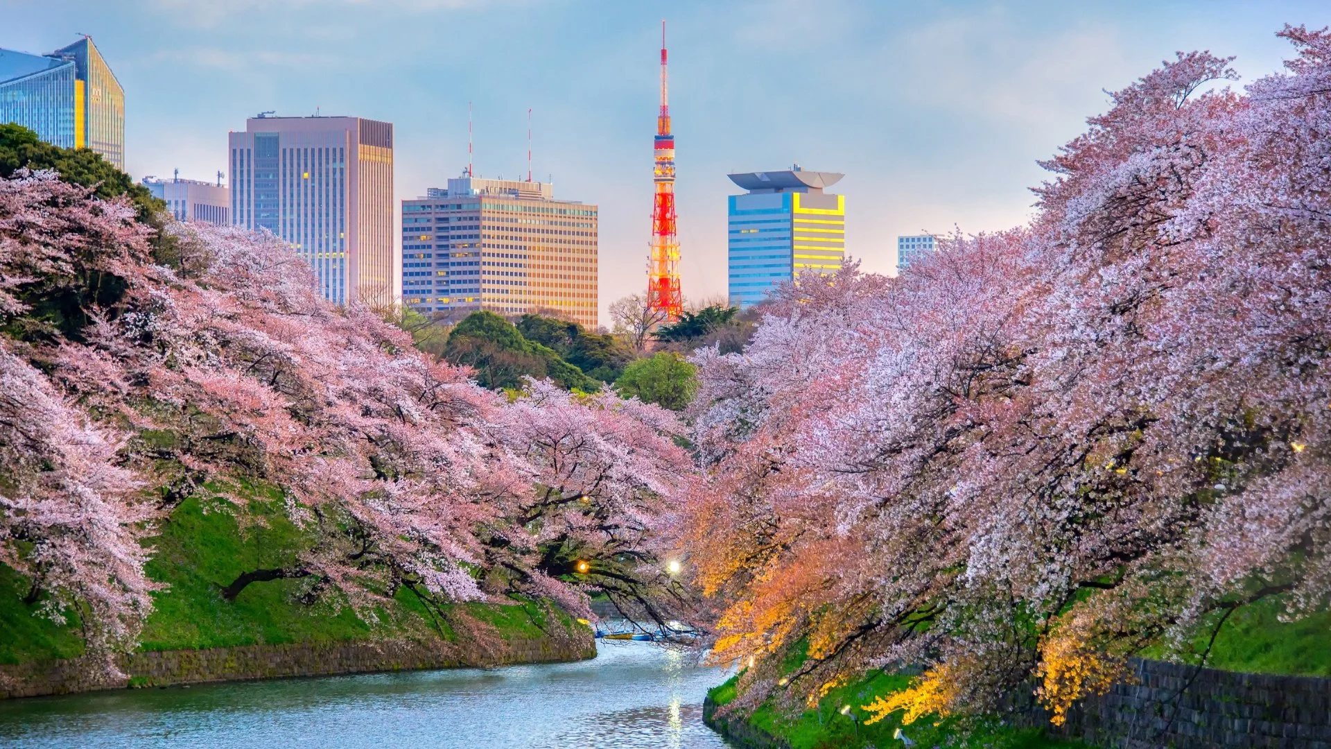 Explore Tokyo