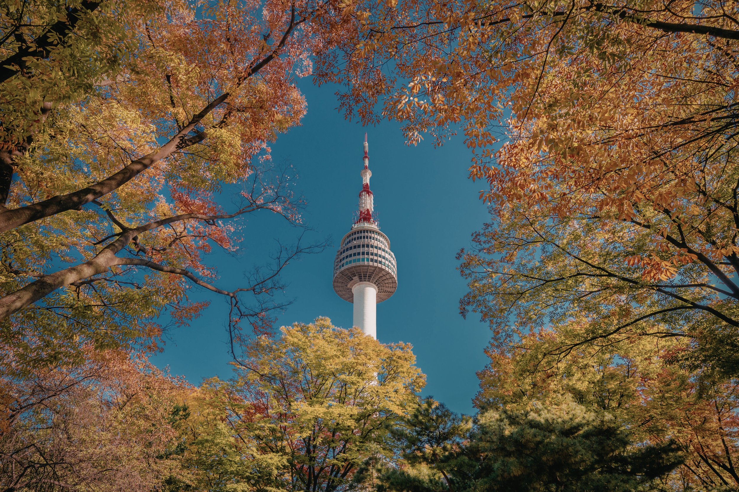 Explore Seoul with Connections