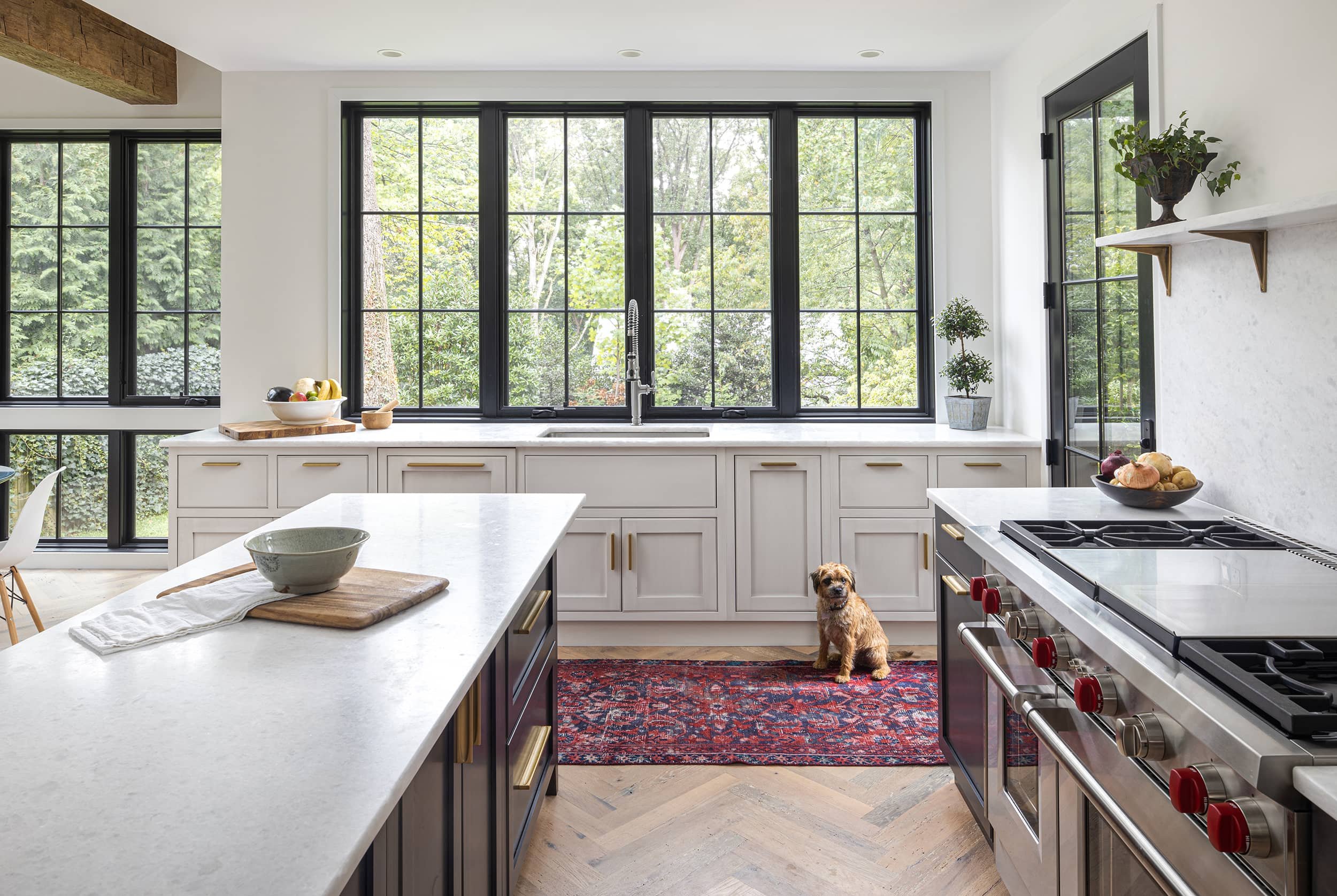 Bright kitchen with large black-framed windows, white cabinets with gold handles, a stainless steel stove, and a small brown dog sitting on a red patterned rug.