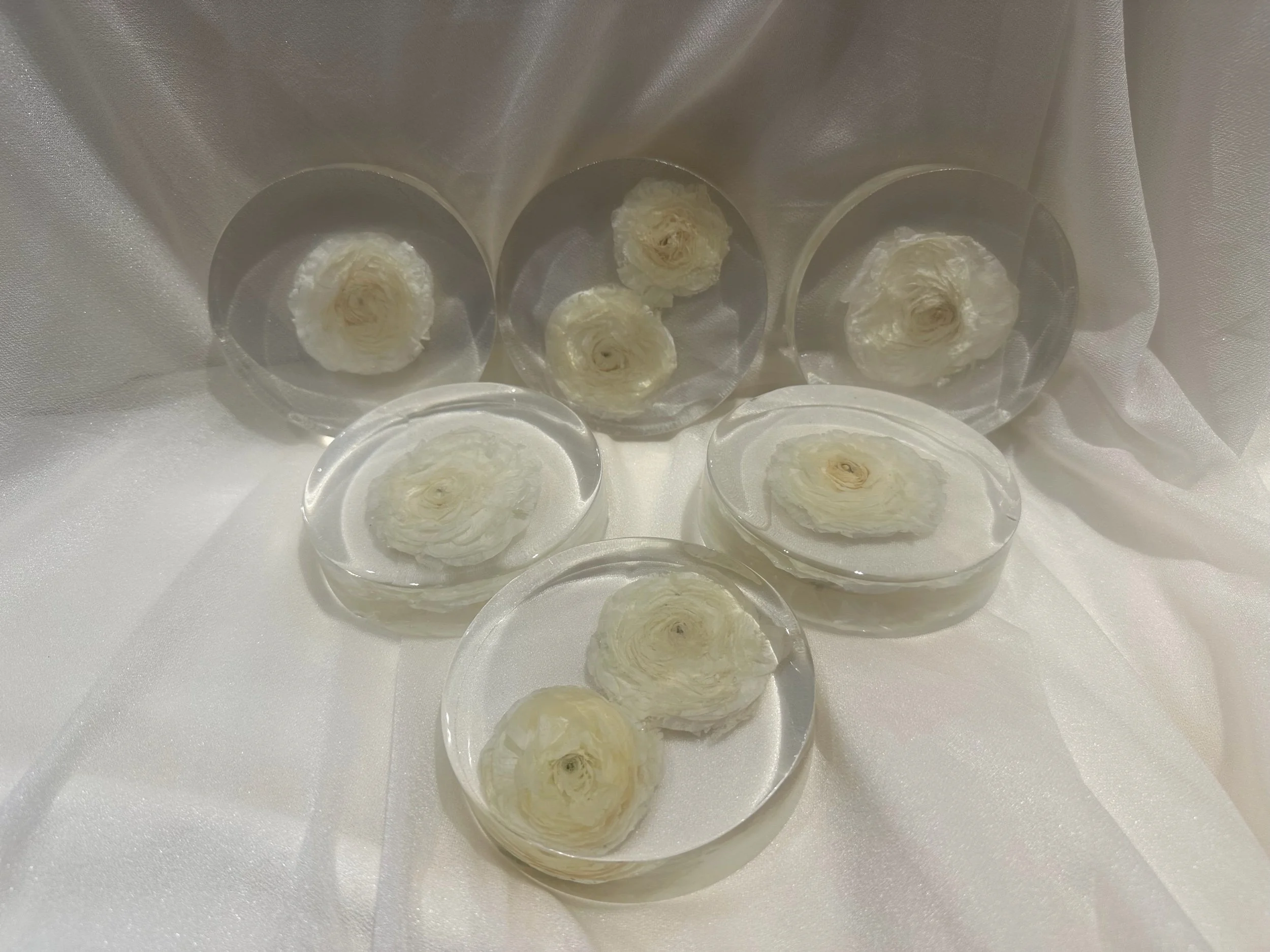 Foral Coasters