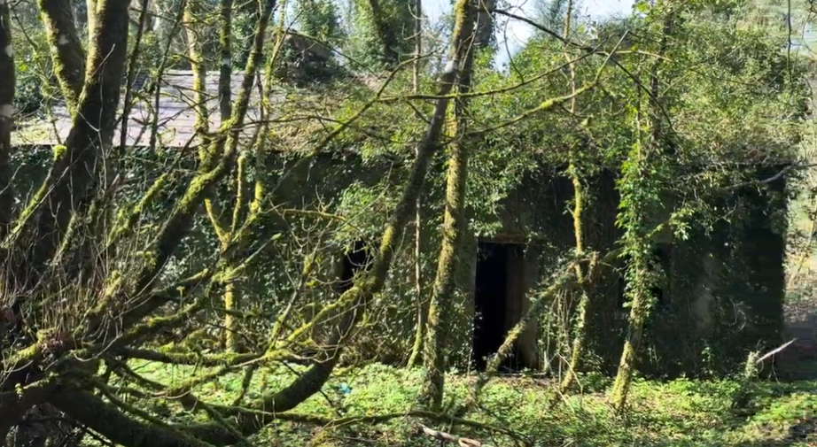 Protecting Ireland's Heritage for Future Generations