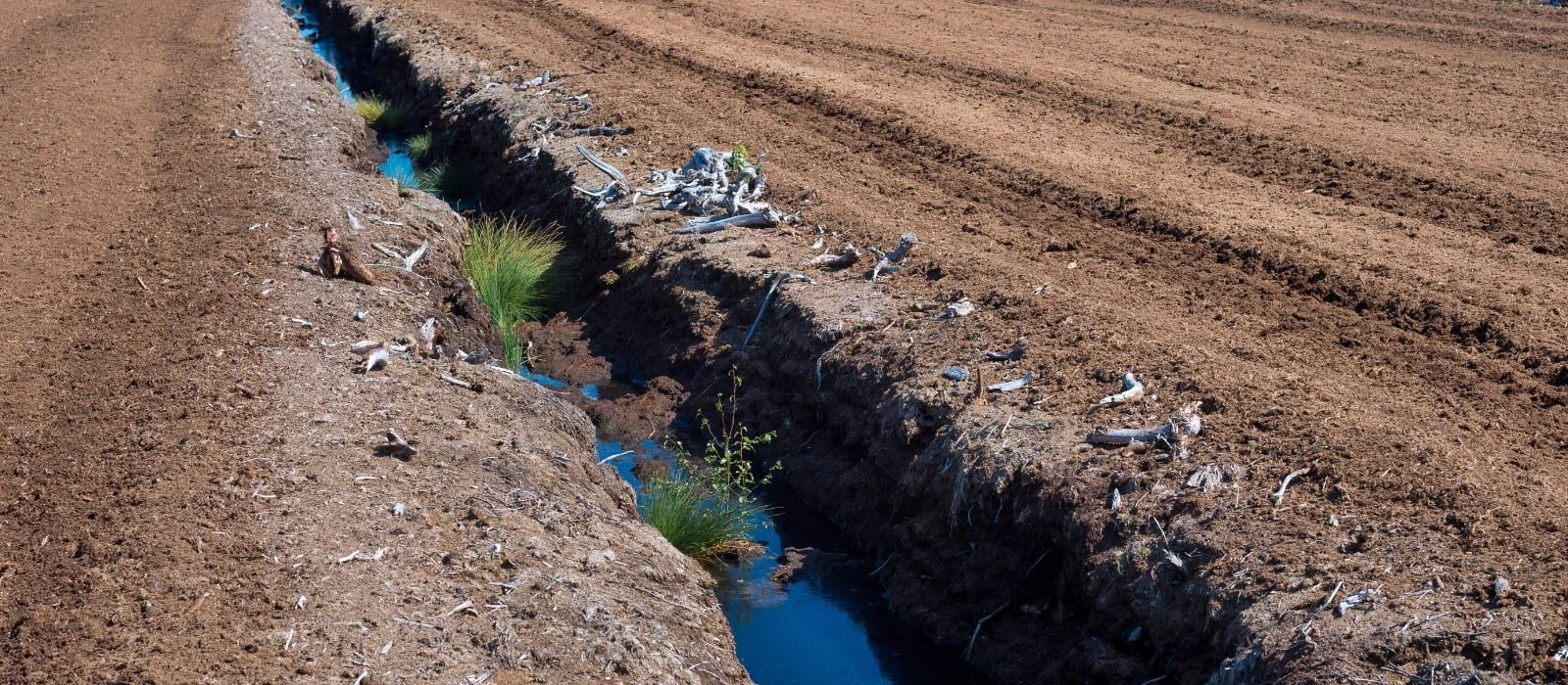 An Taisce Response to EPA Report on Illegal Peat Extraction in Ireland