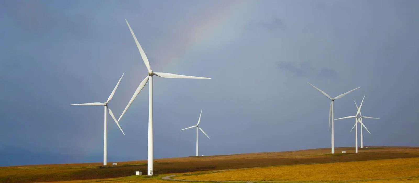 Latest Emissions Figures Show that We Are Still Losing on Climate Action