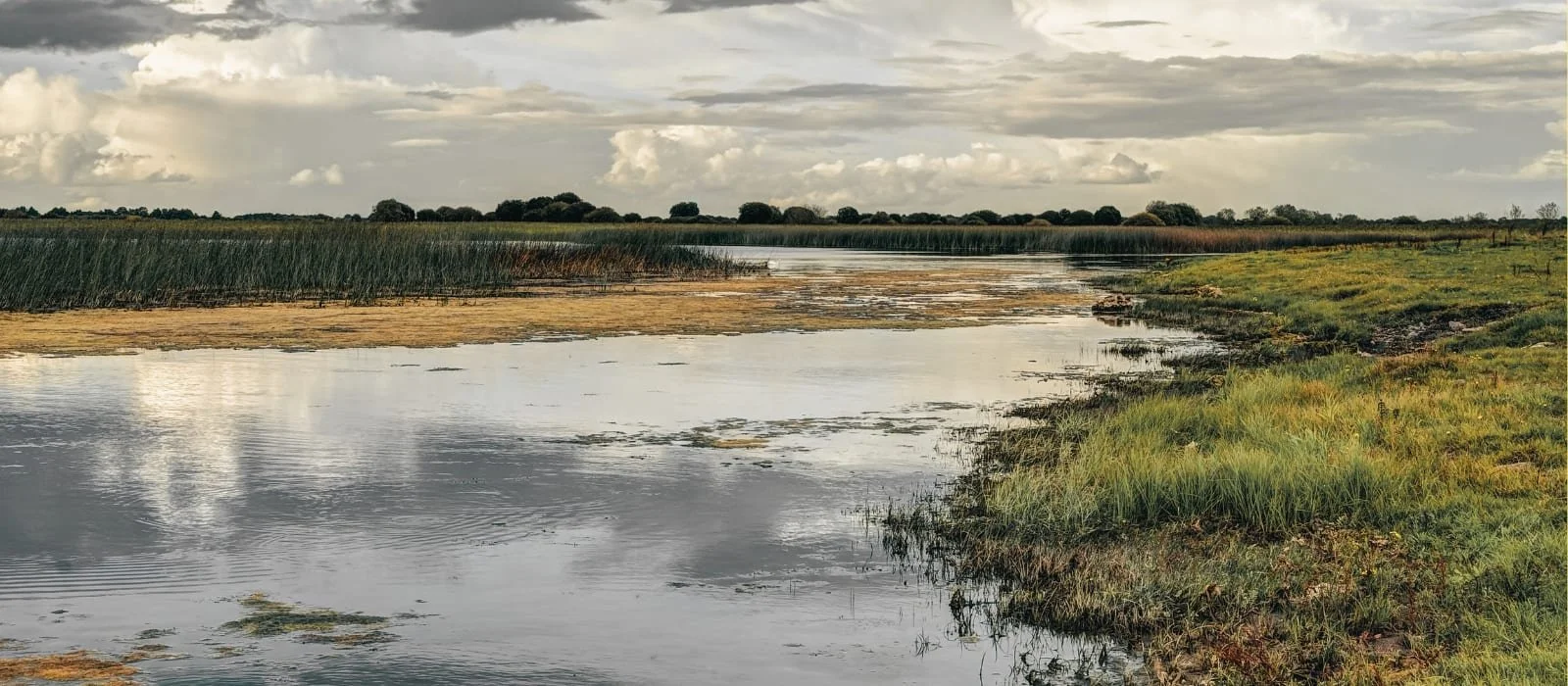 Rivers of the South and South-East of Ireland Are Still in Serious Trouble