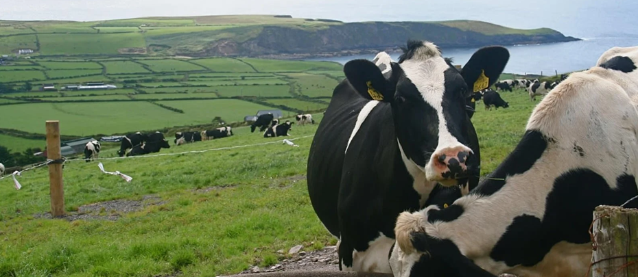 Protecting Ireland's Waterways is Not a Partisan Issue