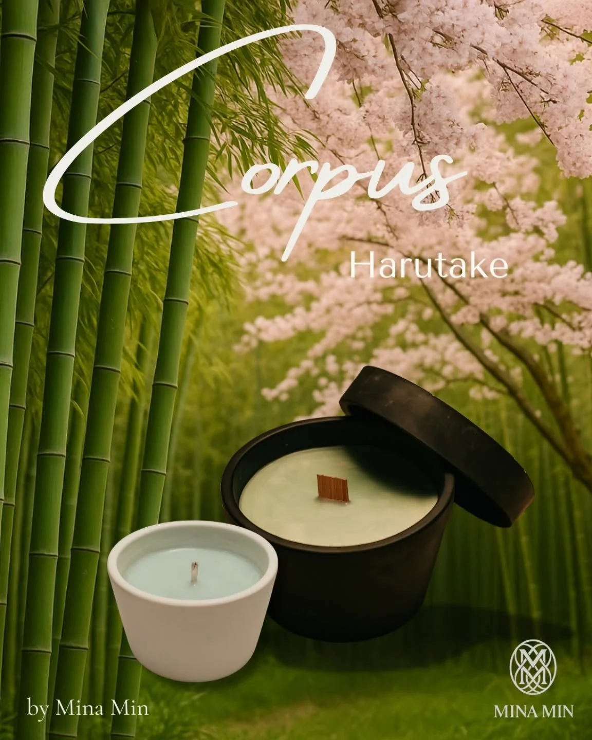 Bamb&uacute; y flor de cerezo 🌸🎍 
Un aroma que invita a respirar m&aacute;s despacio, a encontrar calma en medio del d&iacute;a.

As&iacute; es Harutake, de la colecci&oacute;n Corpus: esencia hecha ritual.

🌱 Vegano 🐰 Cruelty free 🫶 Artesanal 
