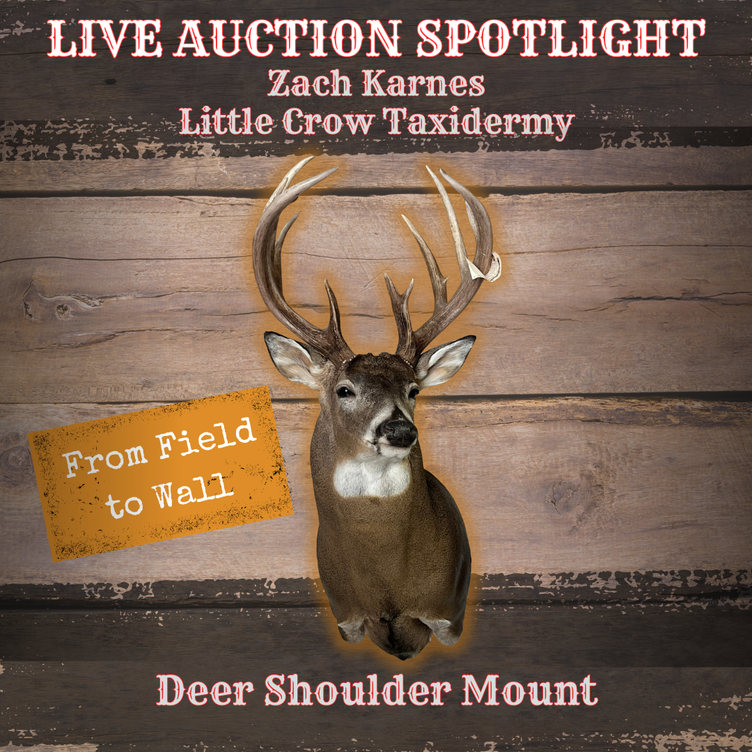 Deer Shoulder Mount