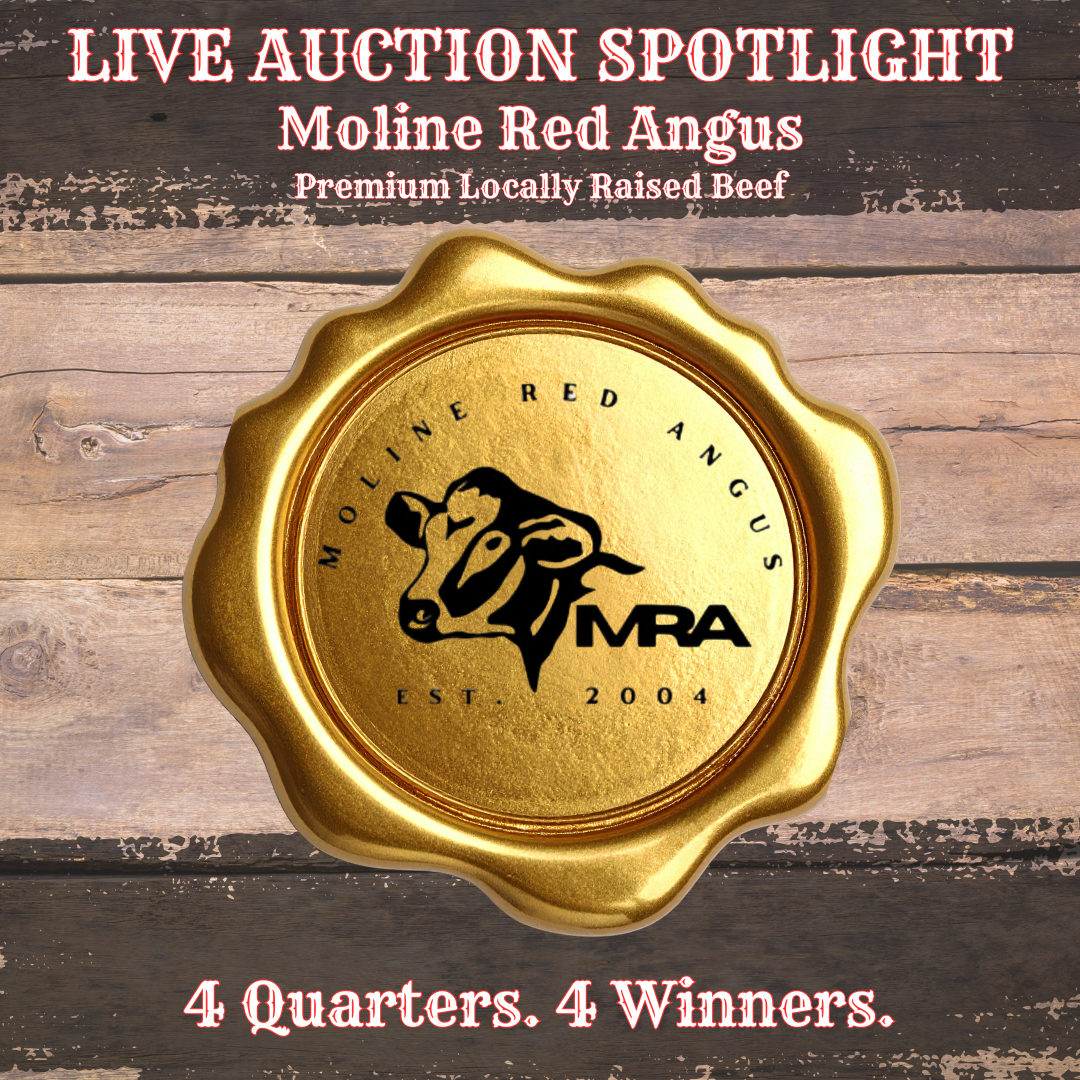 Premium Beef Quarters