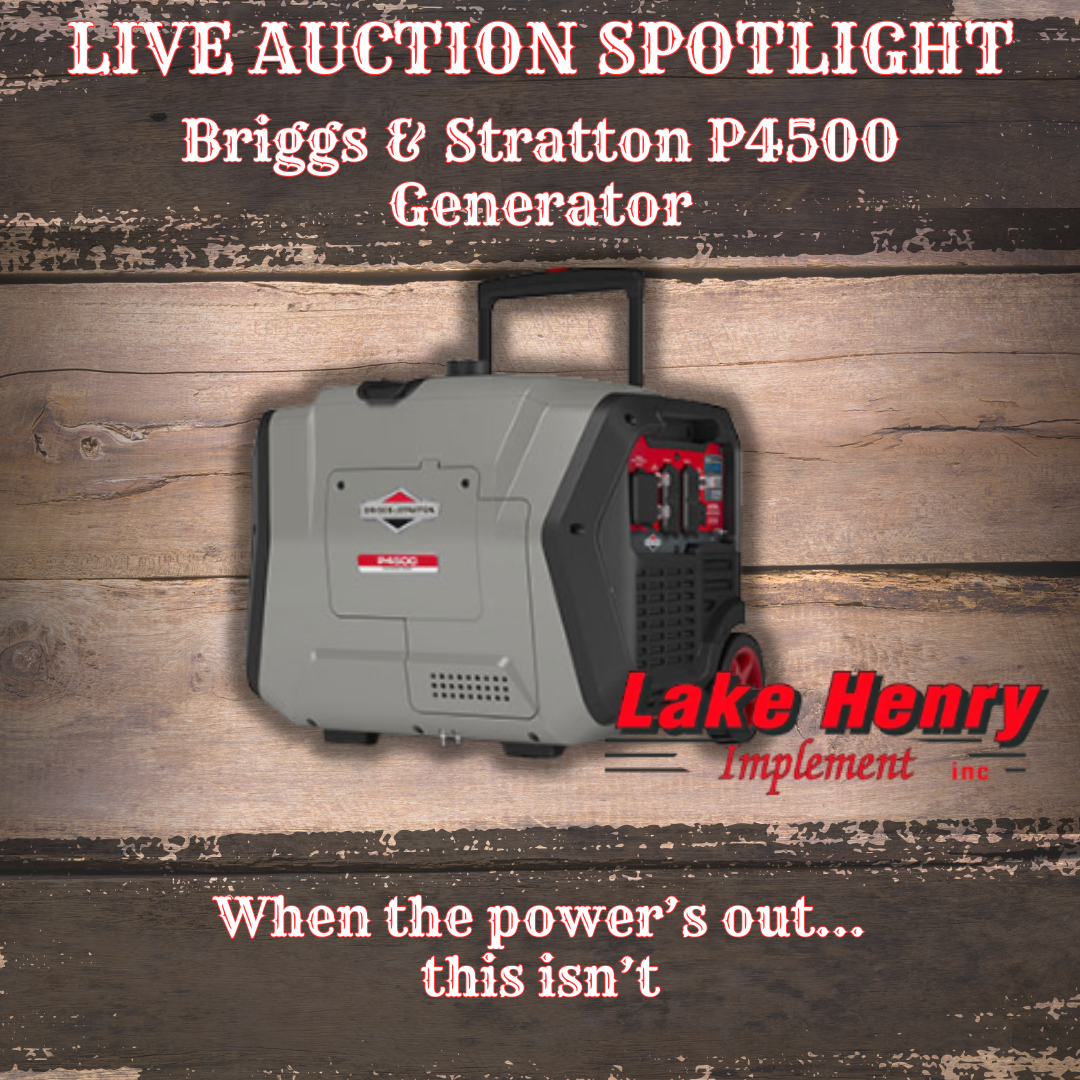 Briggs & Stratton P4500 Generator