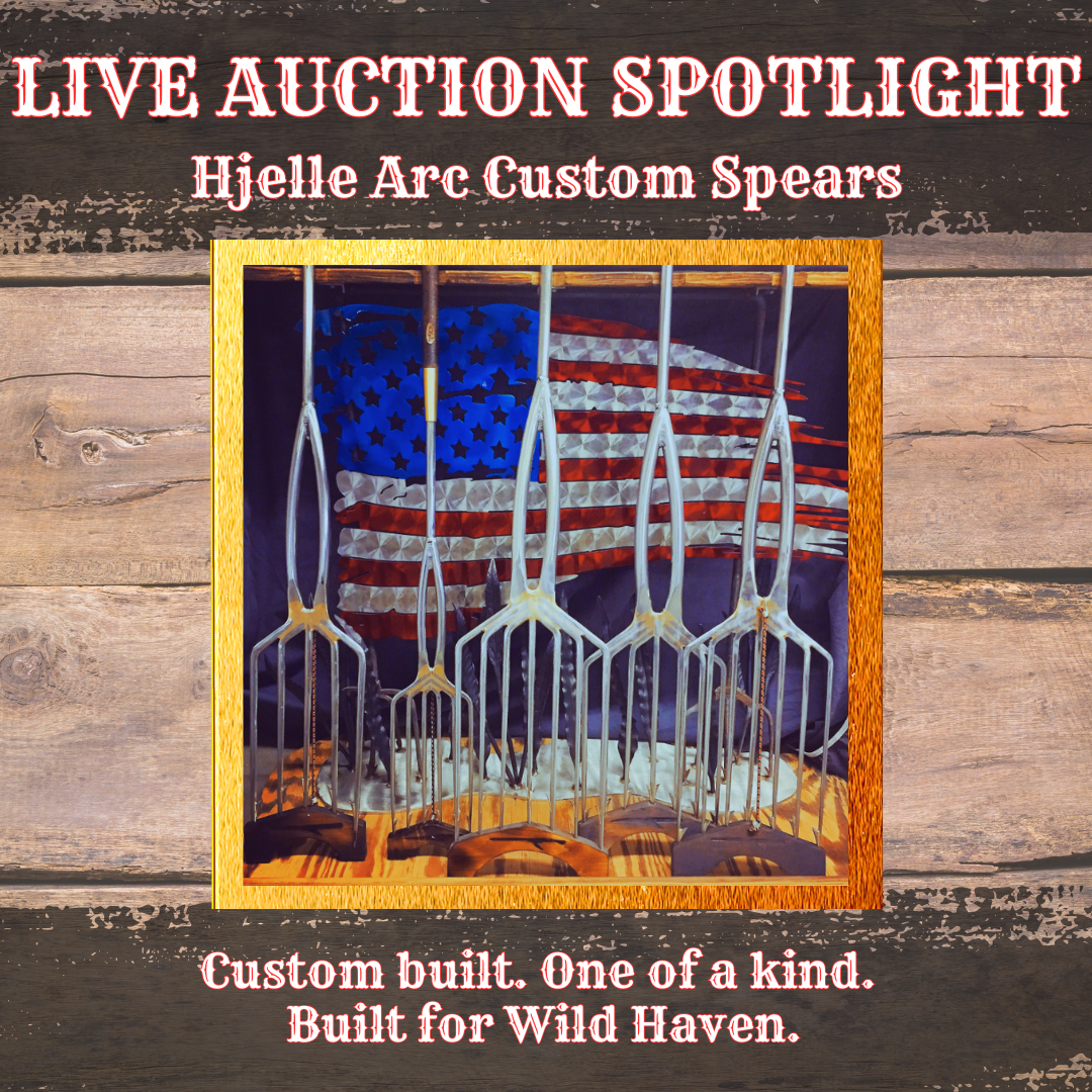 Hjelle Arc Custom Spear