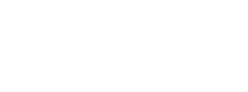 SPINBIT.png