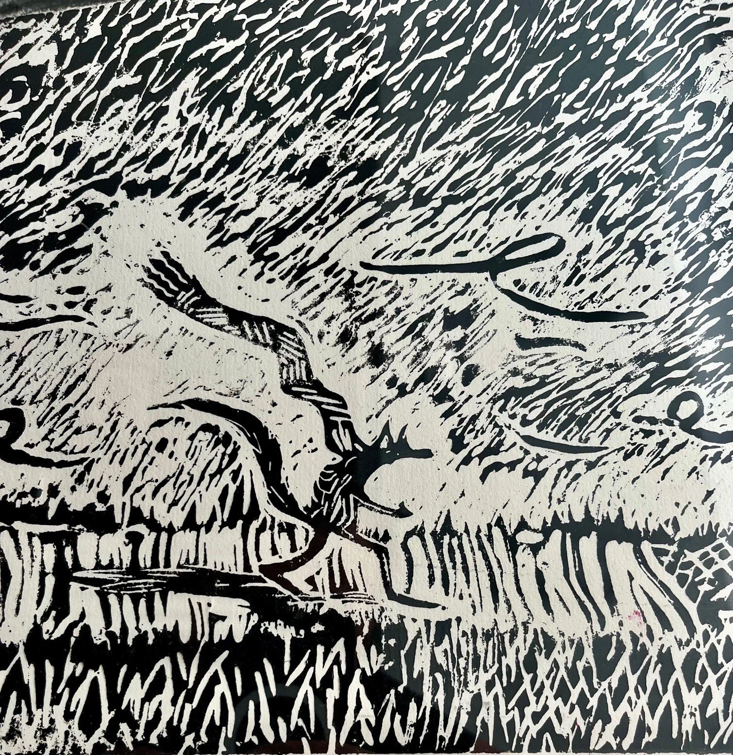 Renato Vitolo - An Autumnal Fox 1.jpg