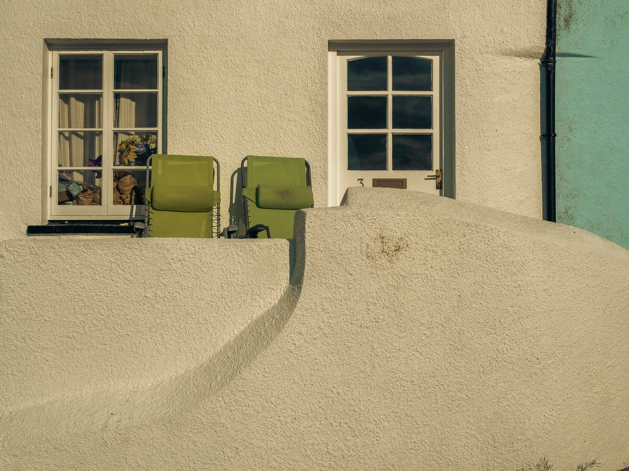 TEnby for Web-15.jpg