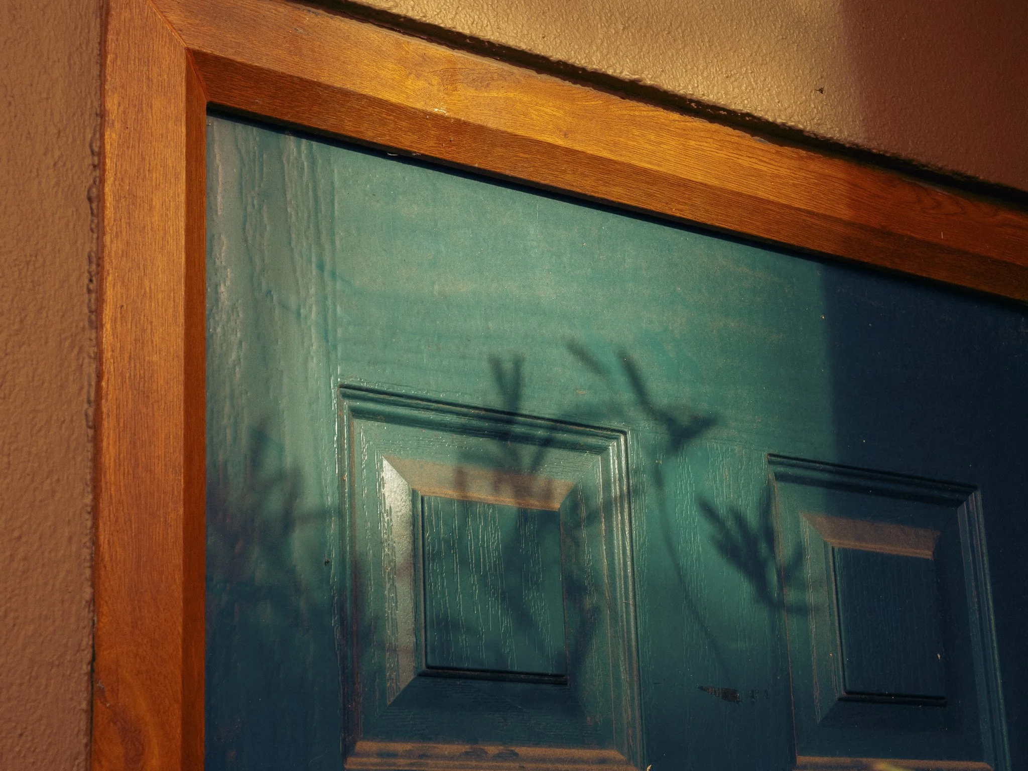 TEnby for Web-14.jpg