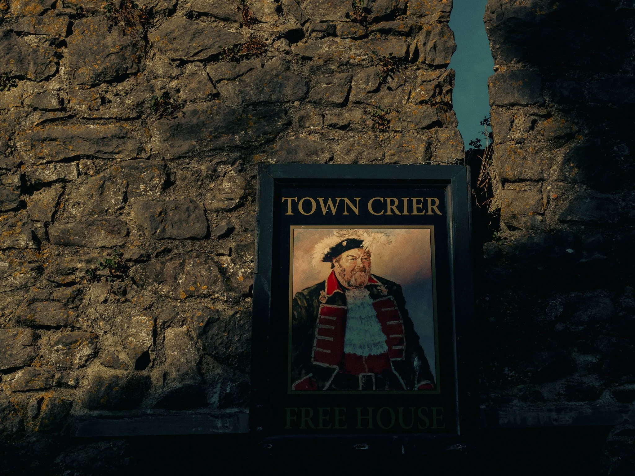 TEnby for Web-12.jpg