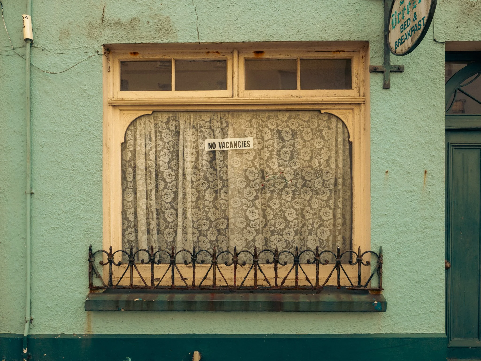 TEnby for Web-5.jpg