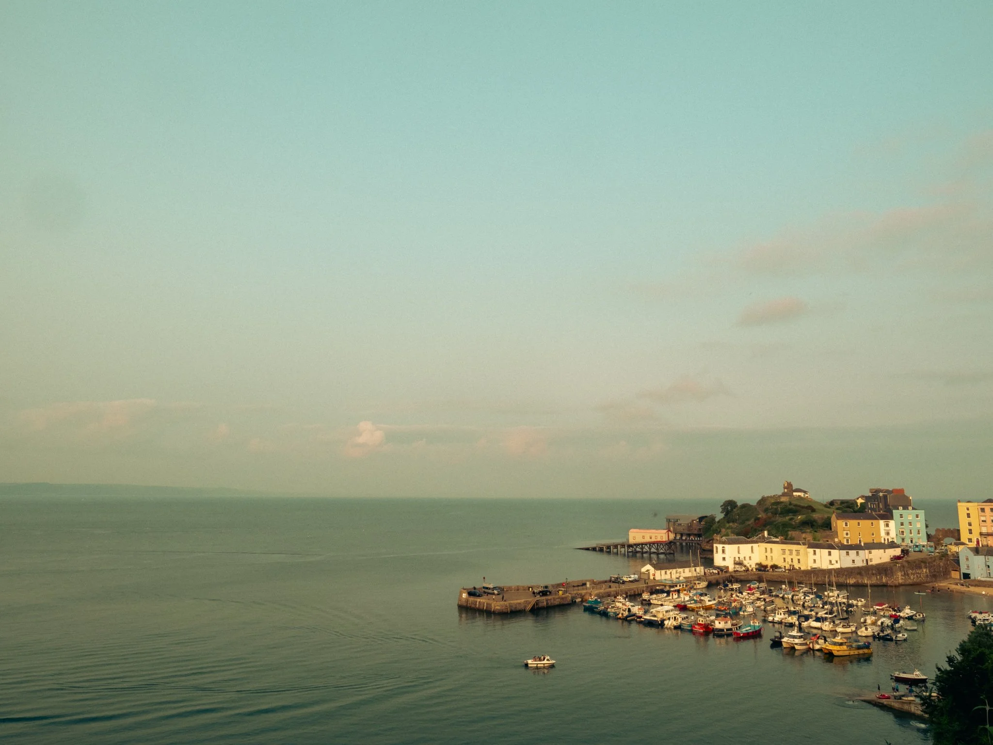 TEnby for Web-2.jpg