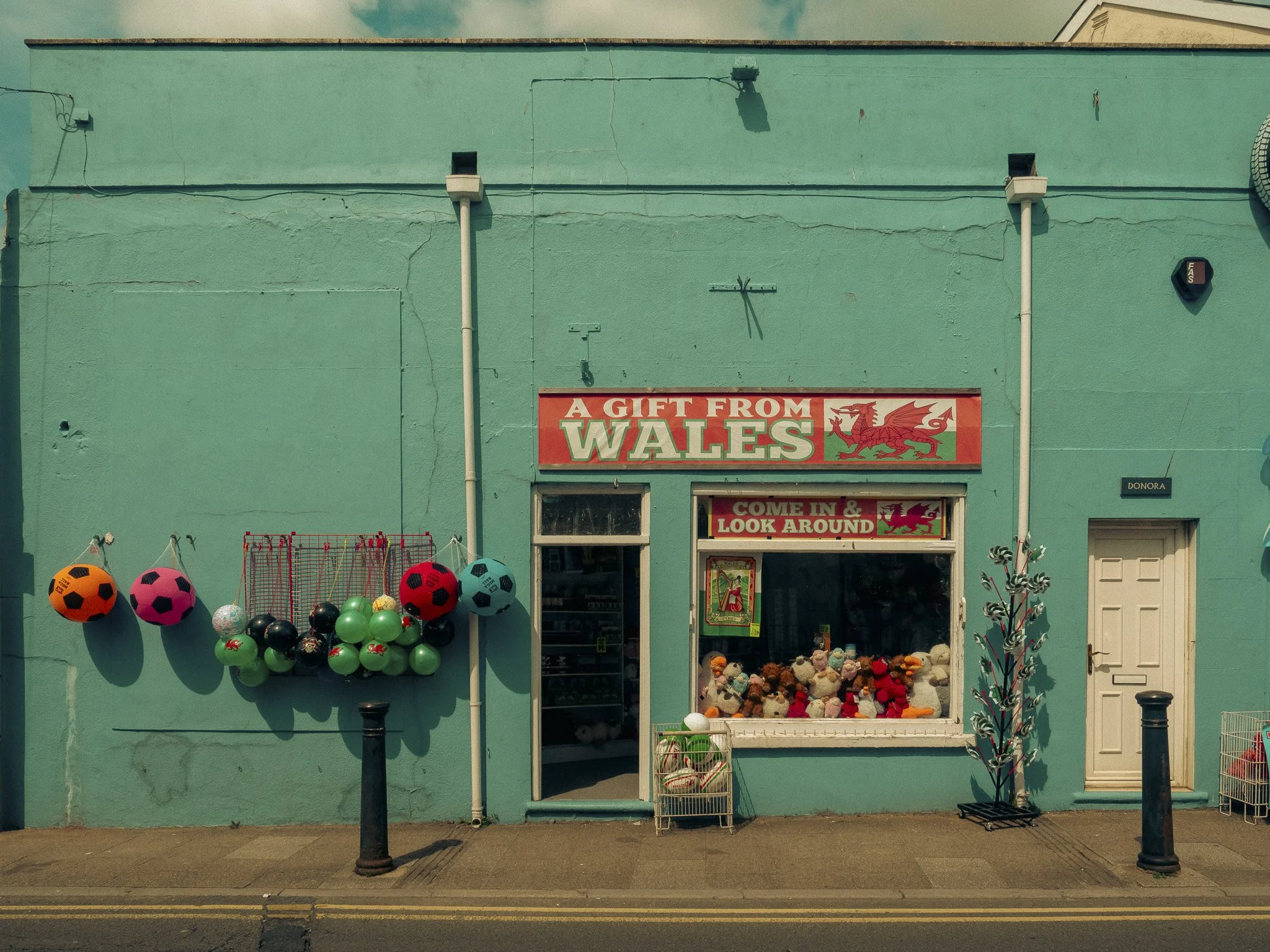 TEnby for Web-19.jpg