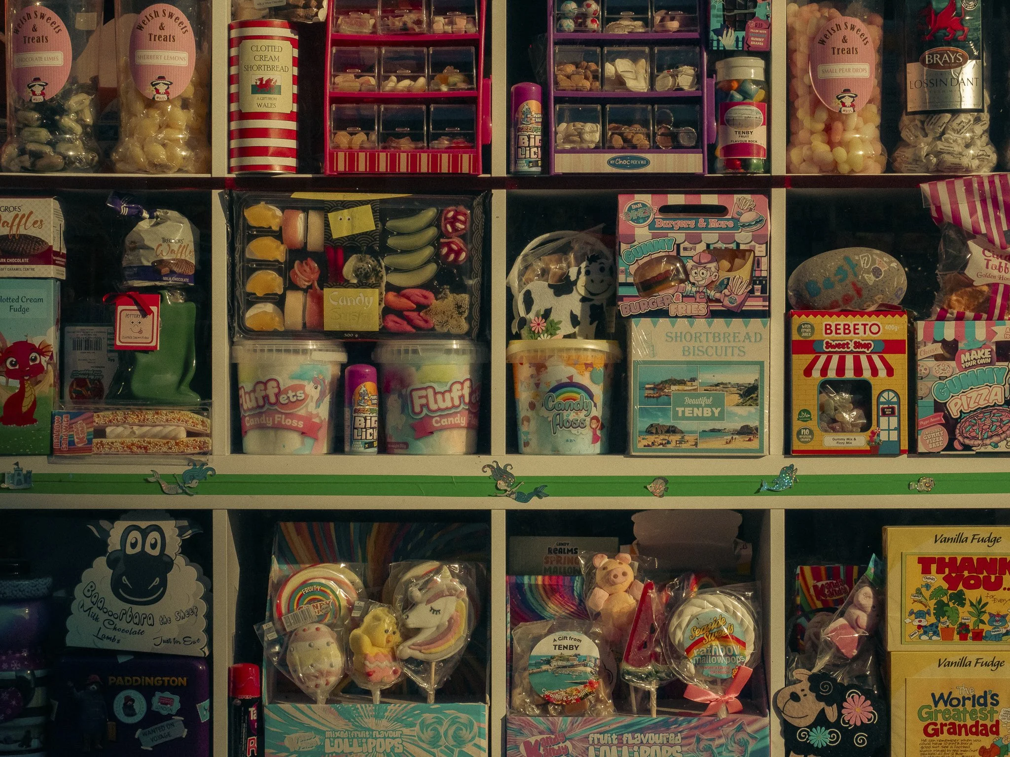 TEnby for Web-11.jpg