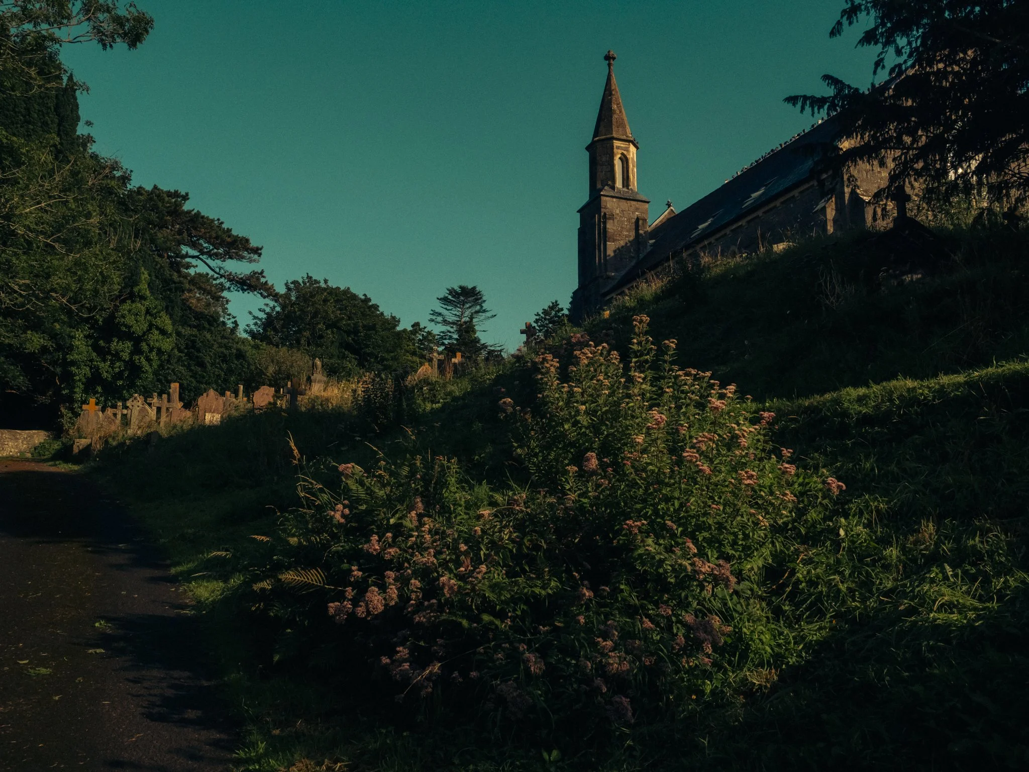 TEnby for Web-8.jpg