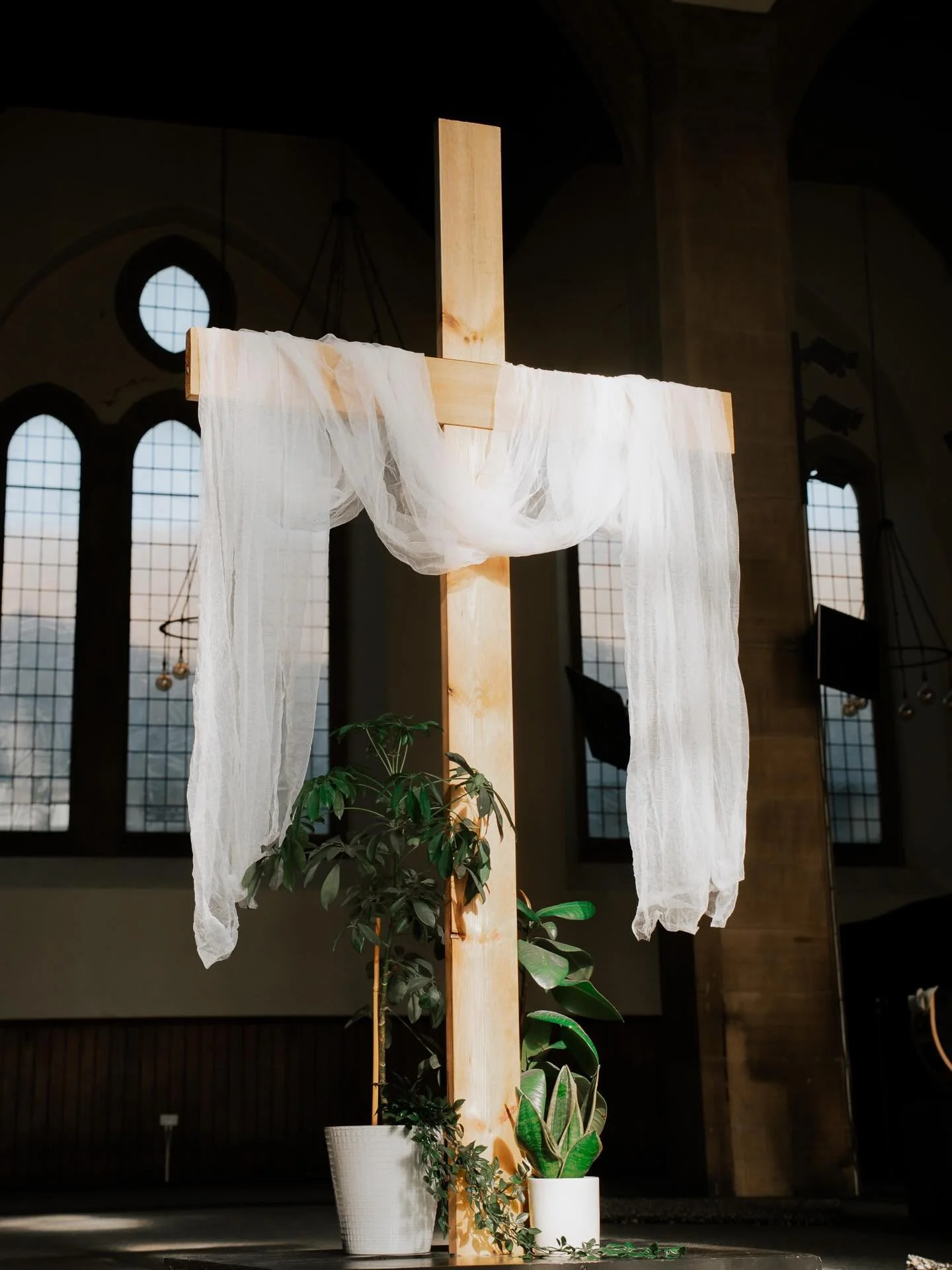 Easter at Alive Church 🌿

We&rsquo;ve got so much happening across Holy Week at Alive Church! There&rsquo;s something for everyone, and we would love to see you across the week as we journey together, spending time reflecting on the story of the cro